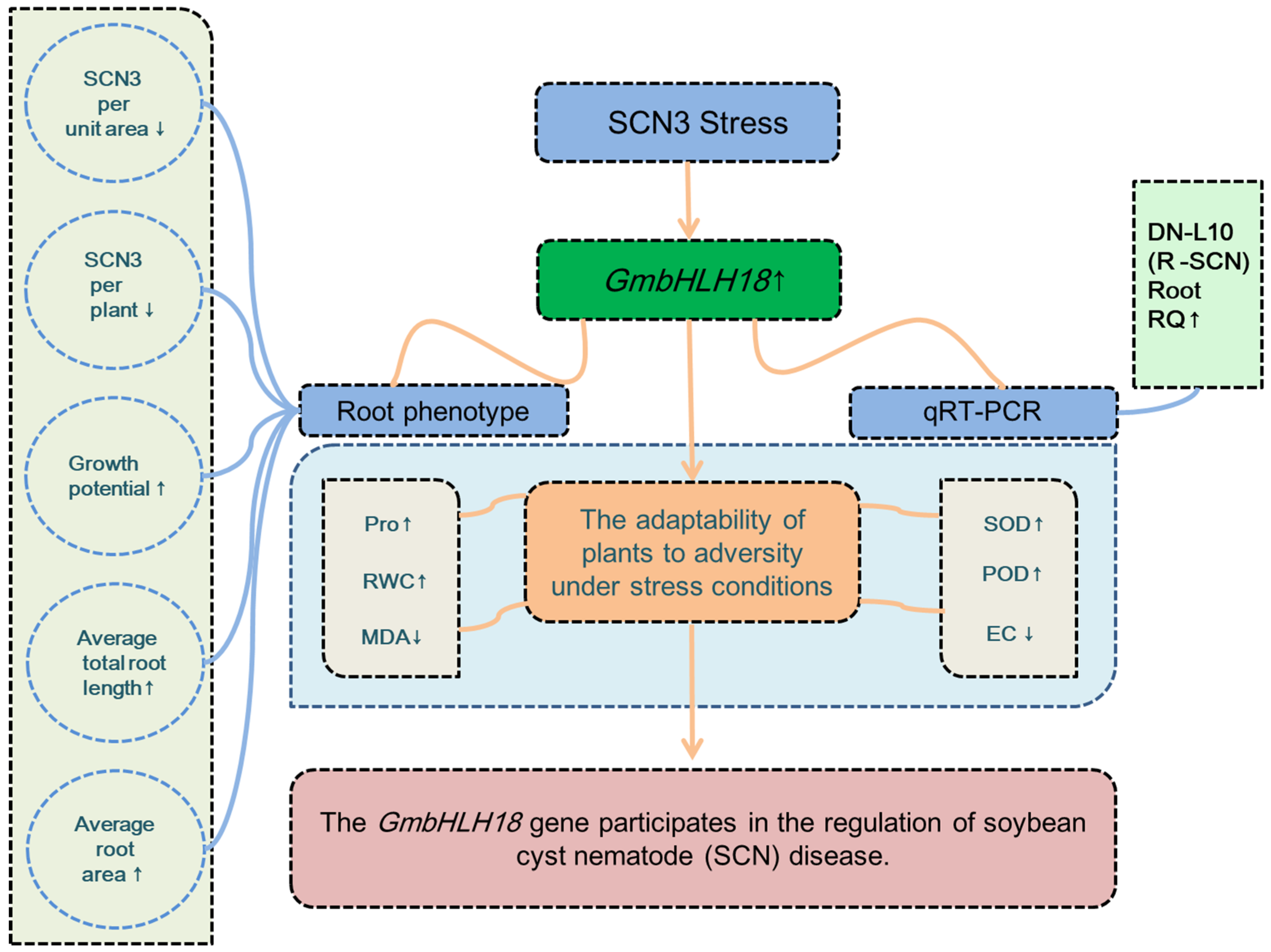 Agronomy 15 00574 g012