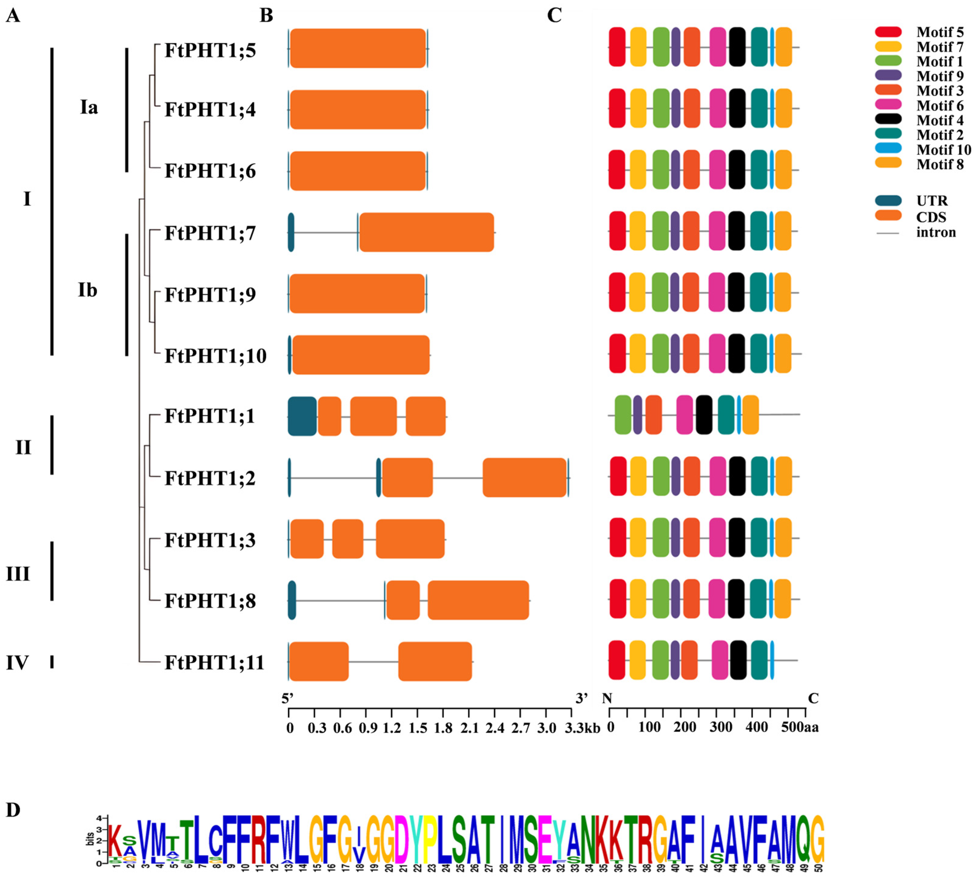 Agronomy 15 00576 g002 Agronomy 15 00576 g002