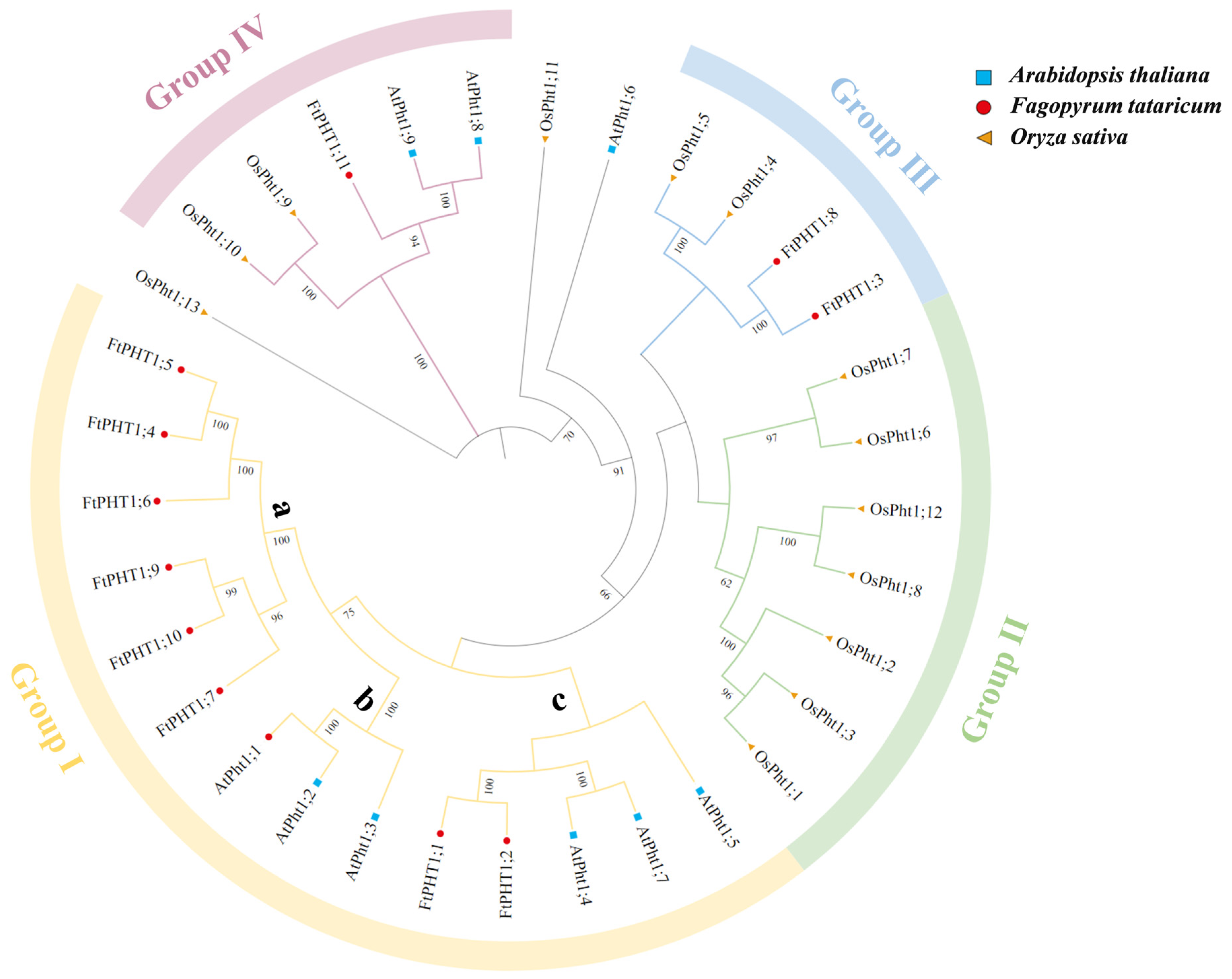 Agronomy 15 00576 g003 Agronomy 15 00576 g003