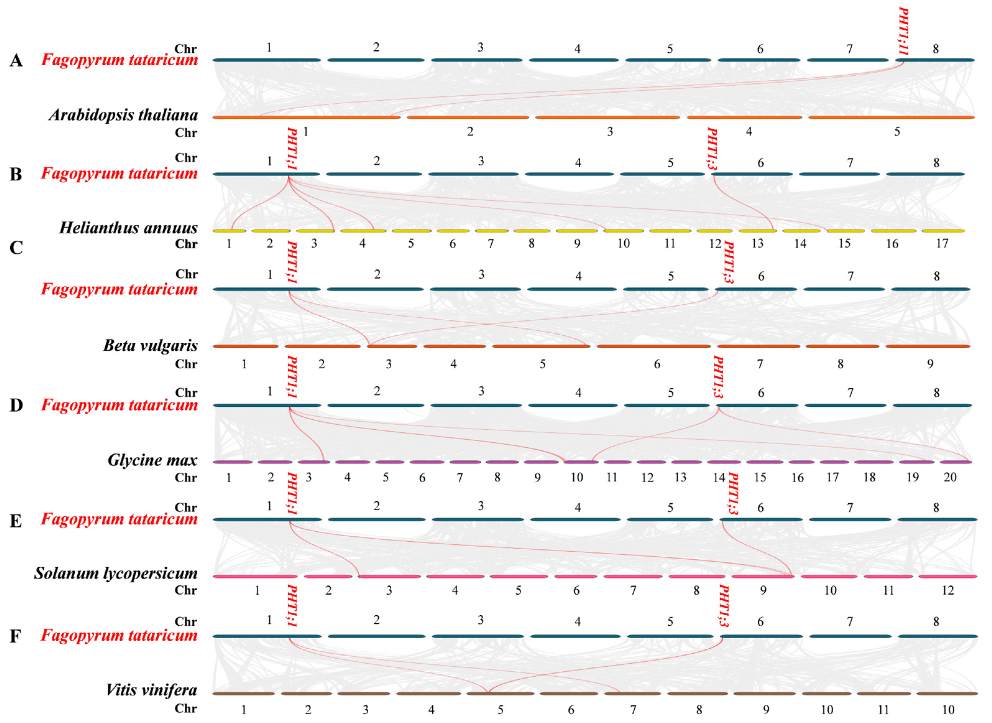 Agronomy 15 00576 g004 Agronomy 15 00576 g004
