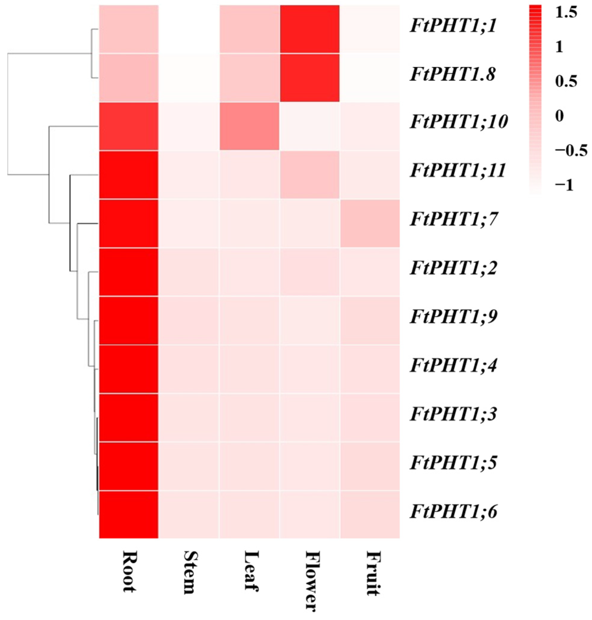 Agronomy 15 00576 g006 Agronomy 15 00576 g006