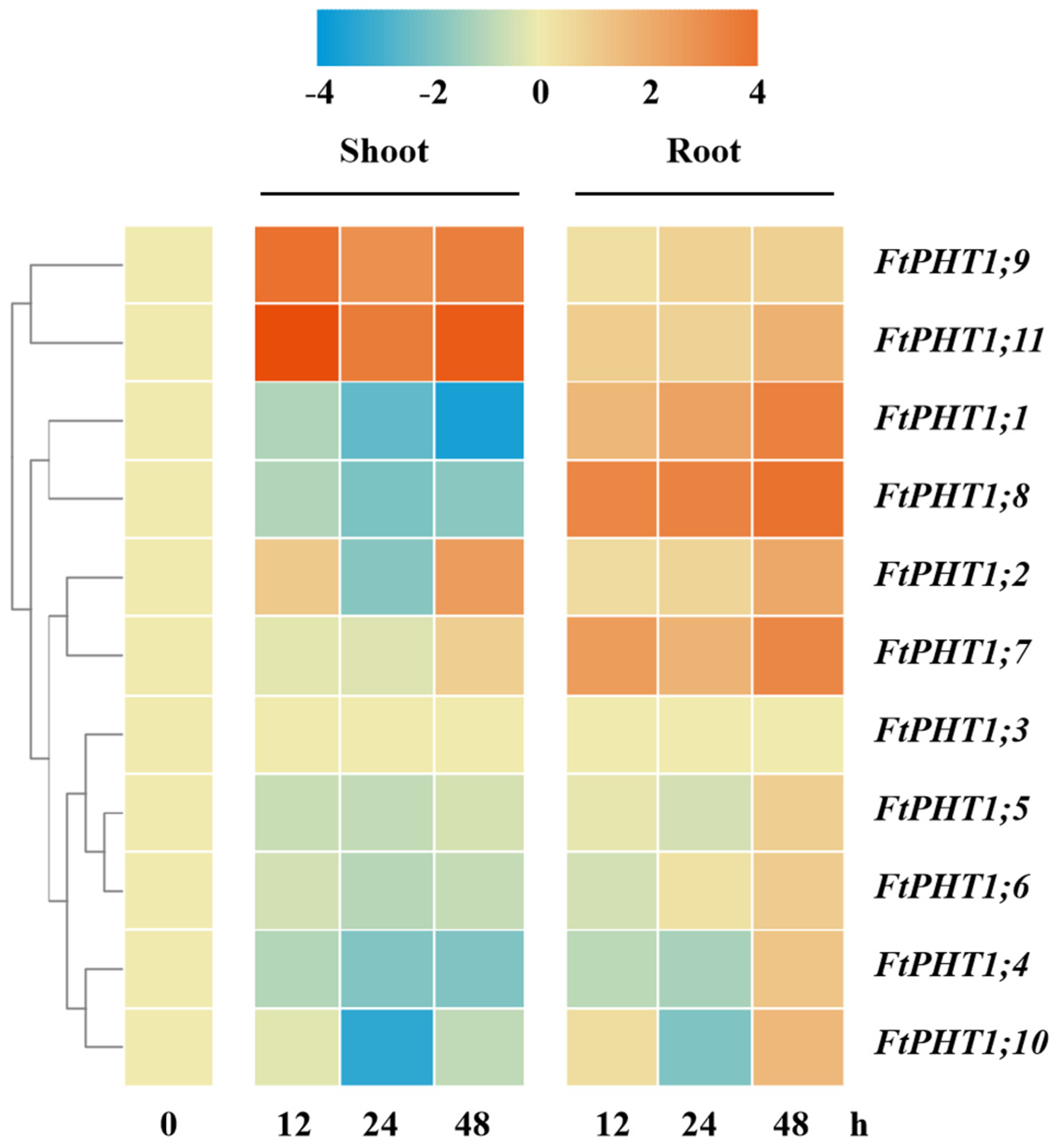 Agronomy 15 00576 g007 Agronomy 15 00576 g007