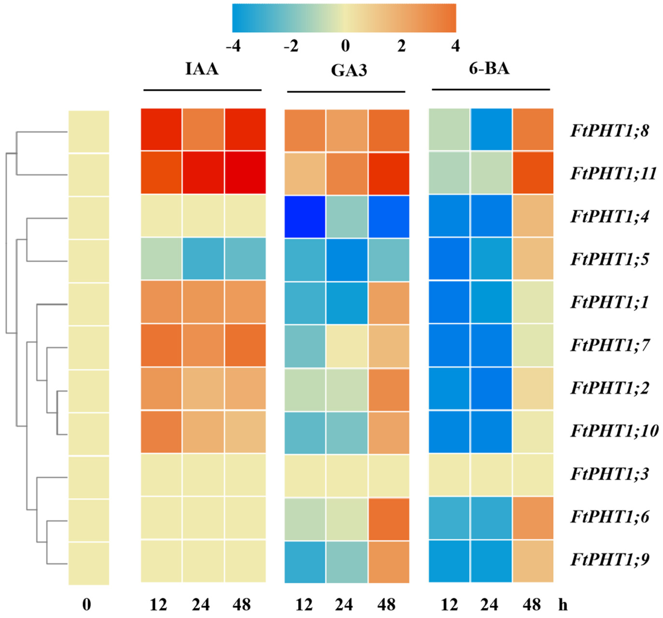 Agronomy 15 00576 g008 Agronomy 15 00576 g008