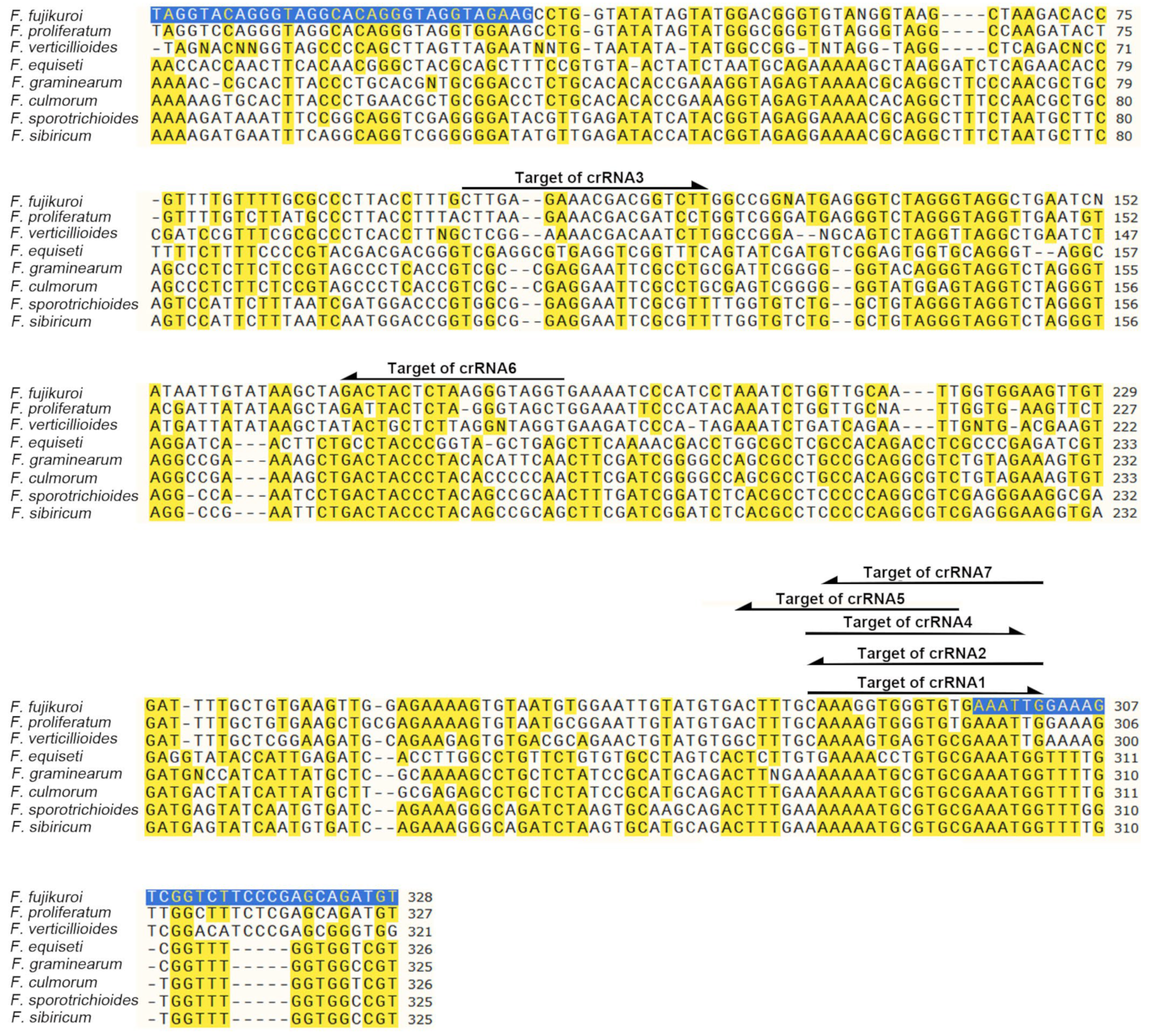 Agronomy 15 00577 g001