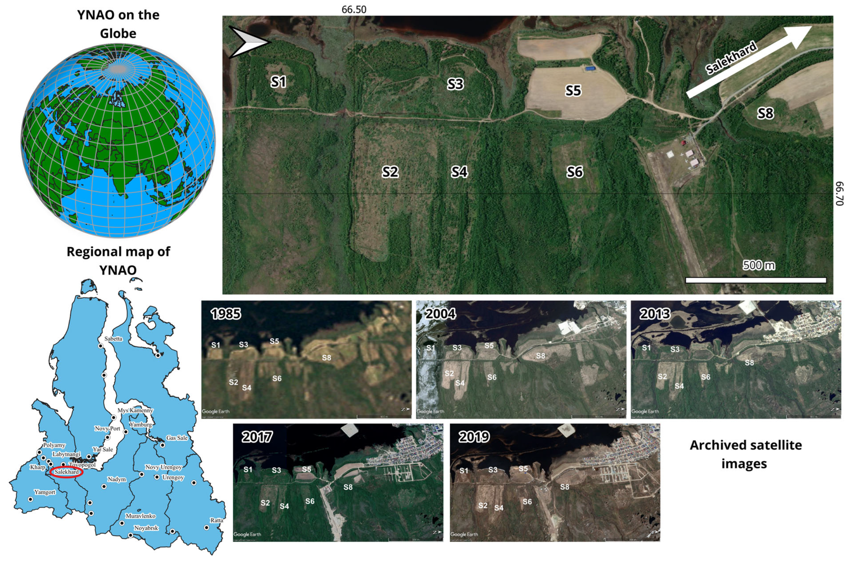 Agronomy 15 00584 g001