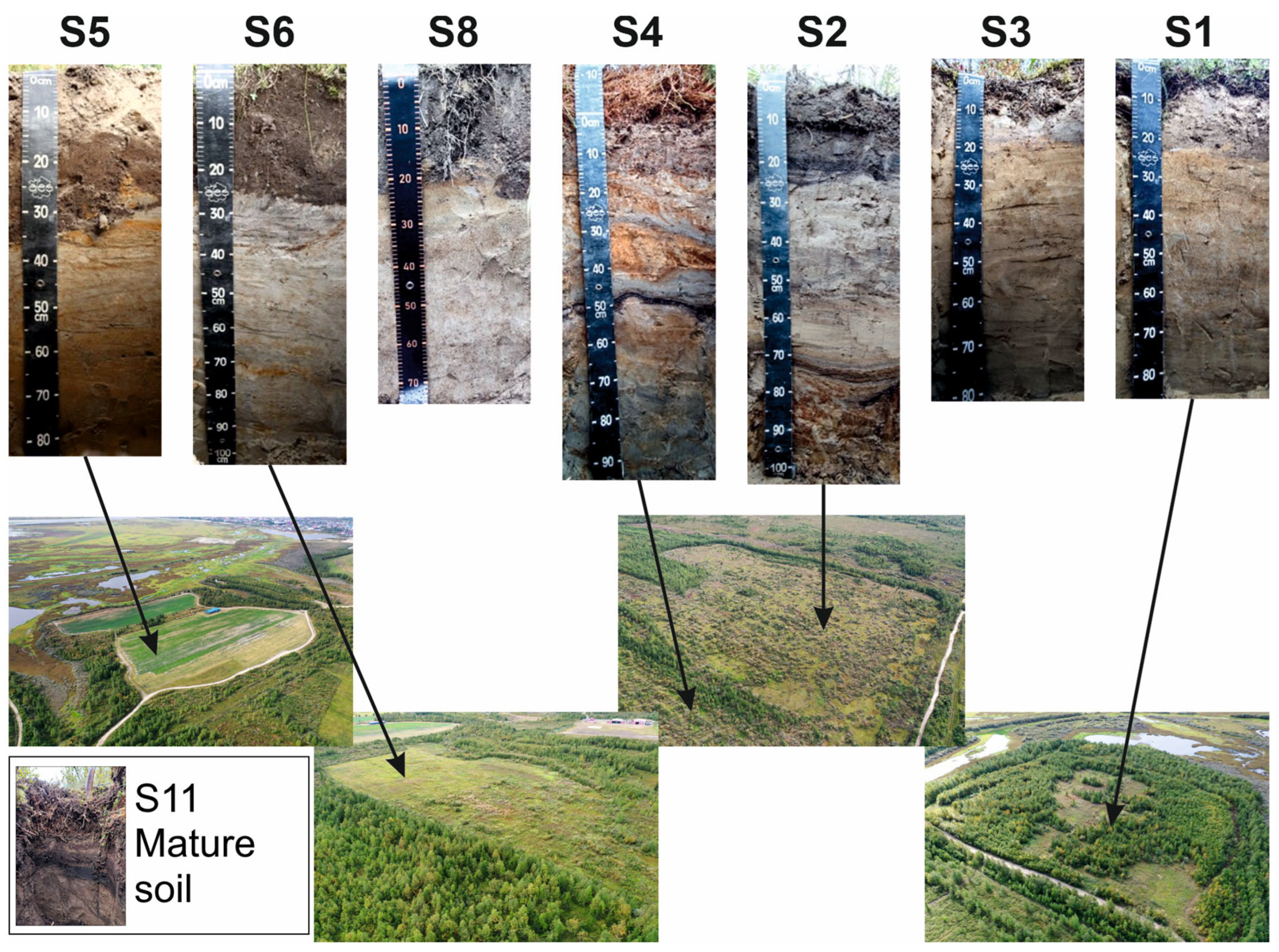 Agronomy 15 00584 g002
