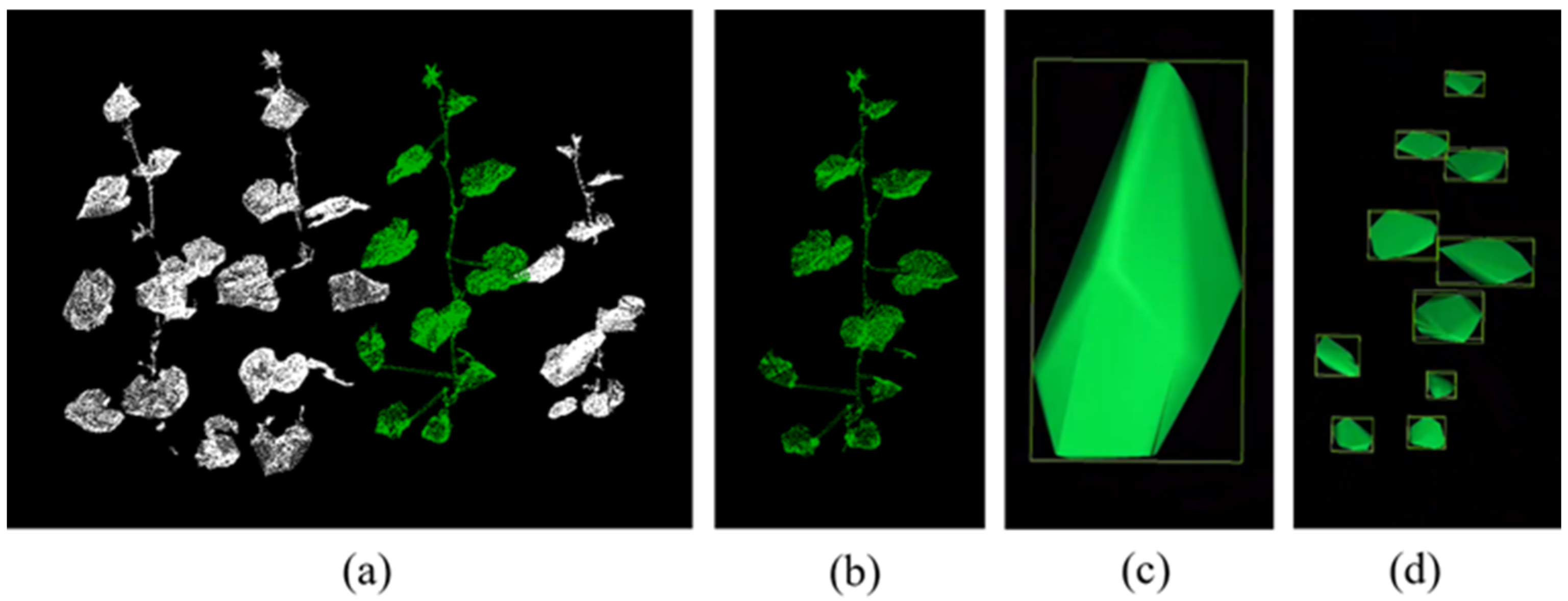 Agronomy 15 00586 g002