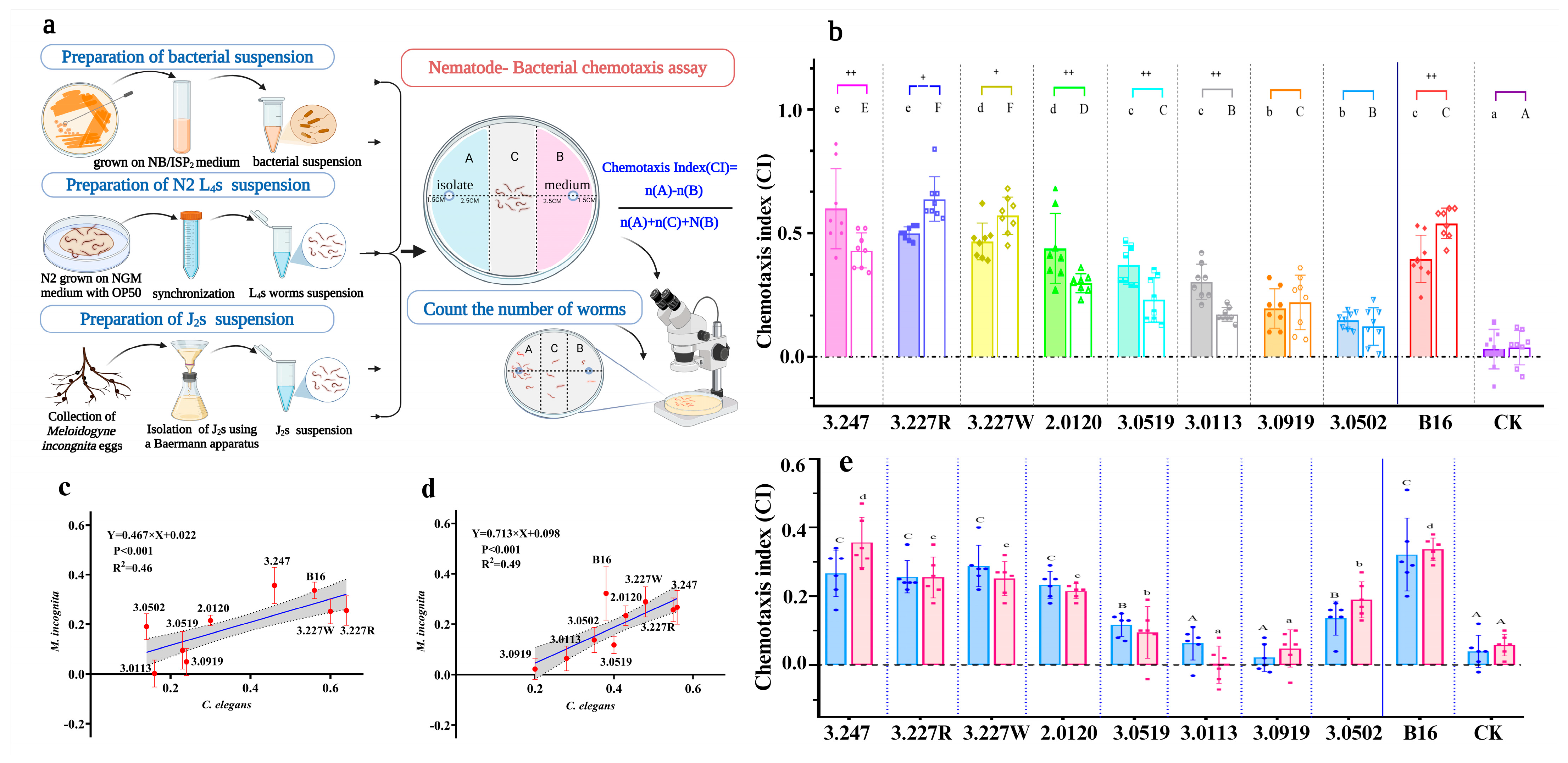 Agronomy 15 00590 g001