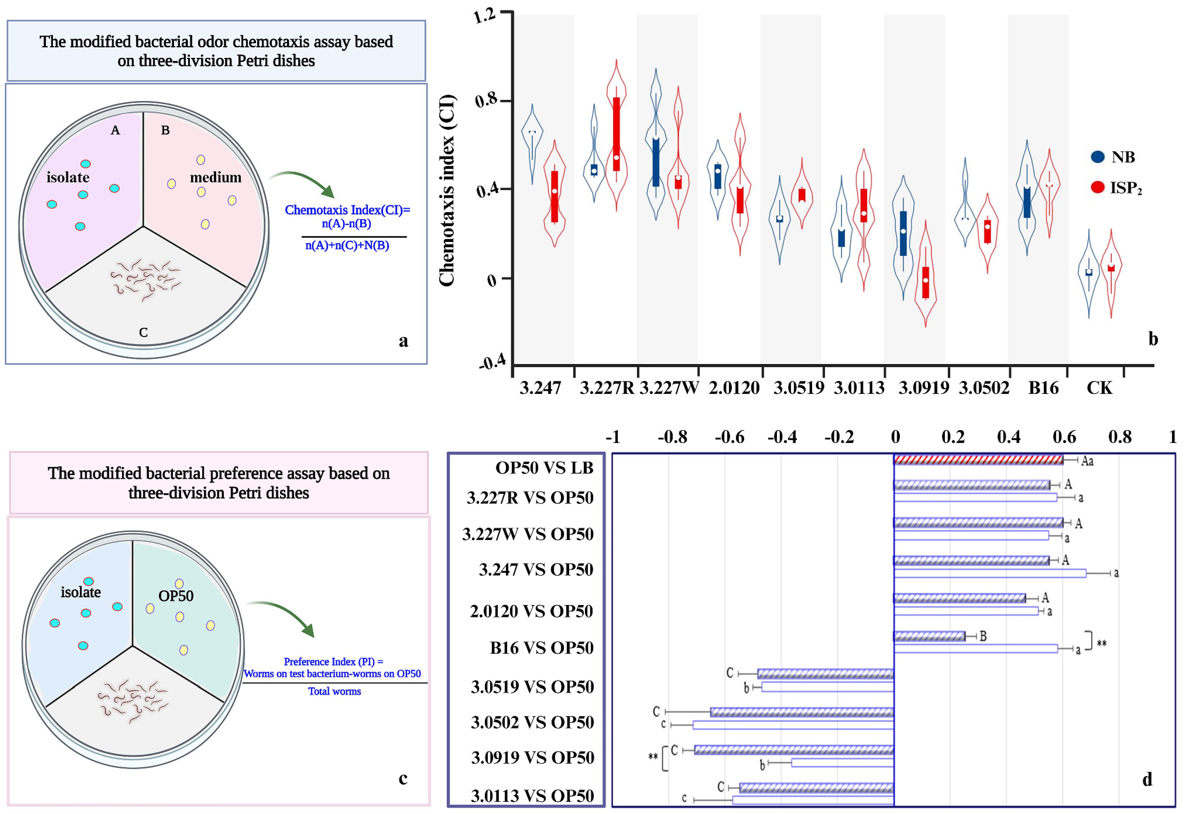Agronomy 15 00590 g003