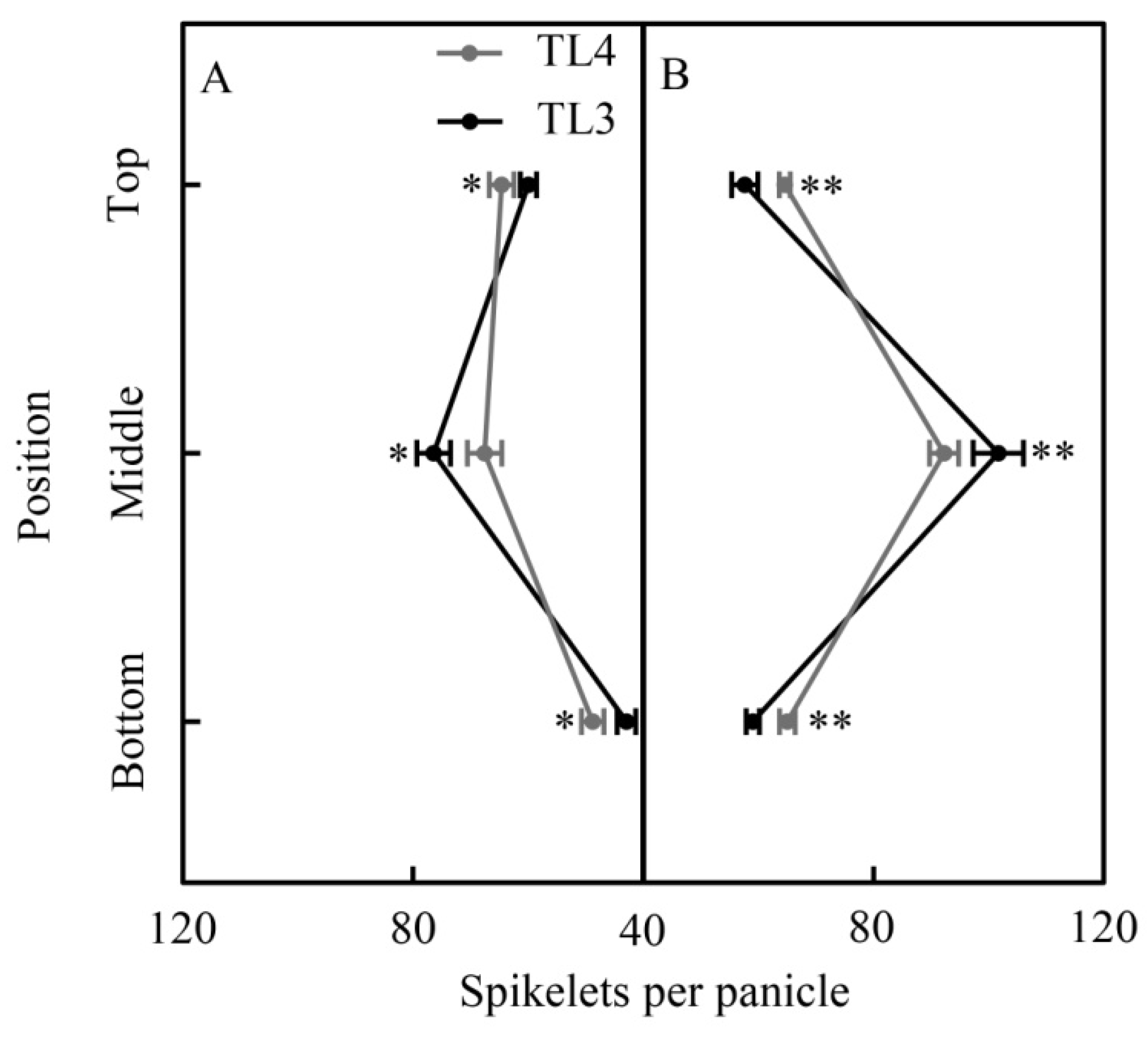 Agronomy 15 00595 g003