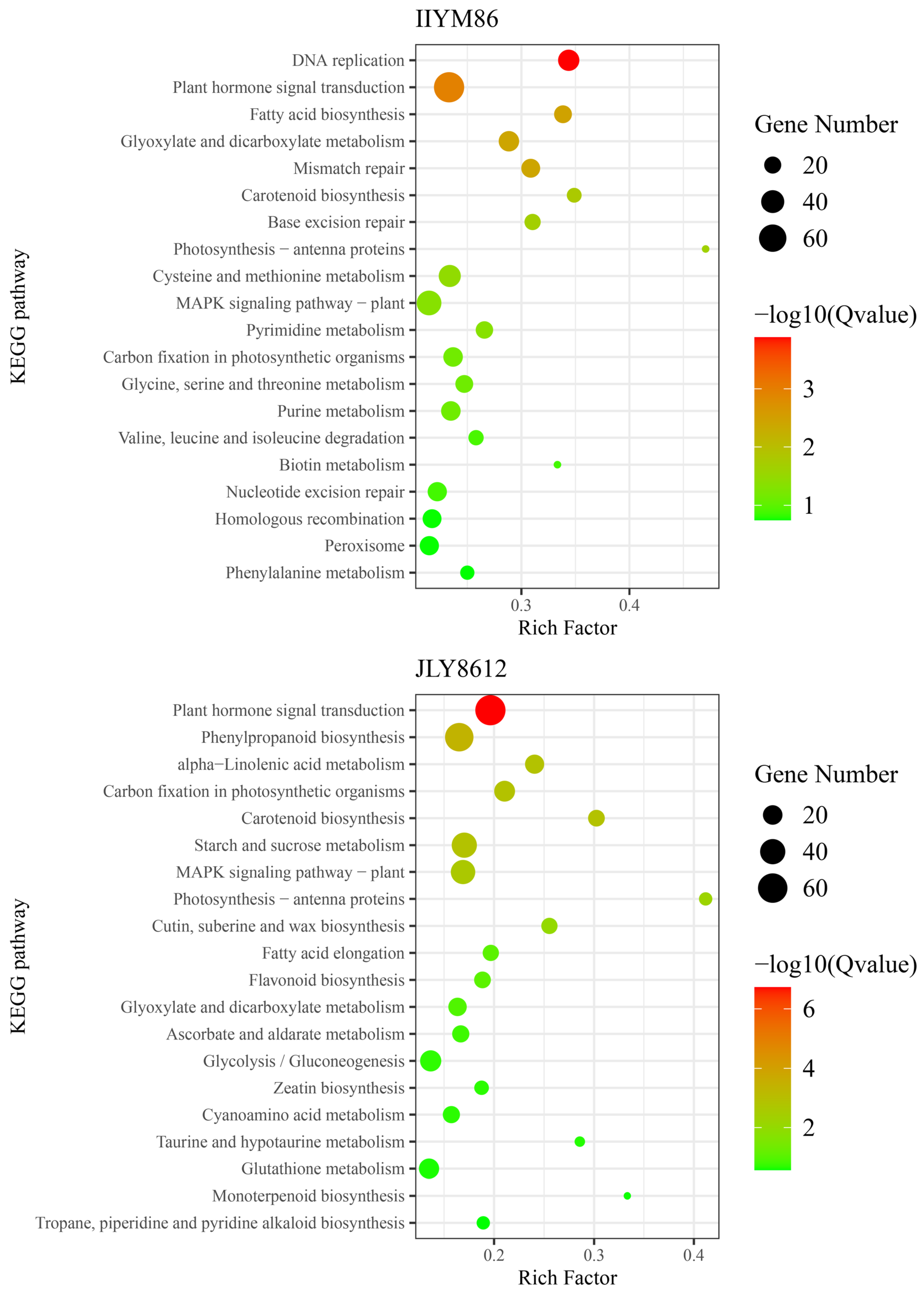 Agronomy 15 00595 g010