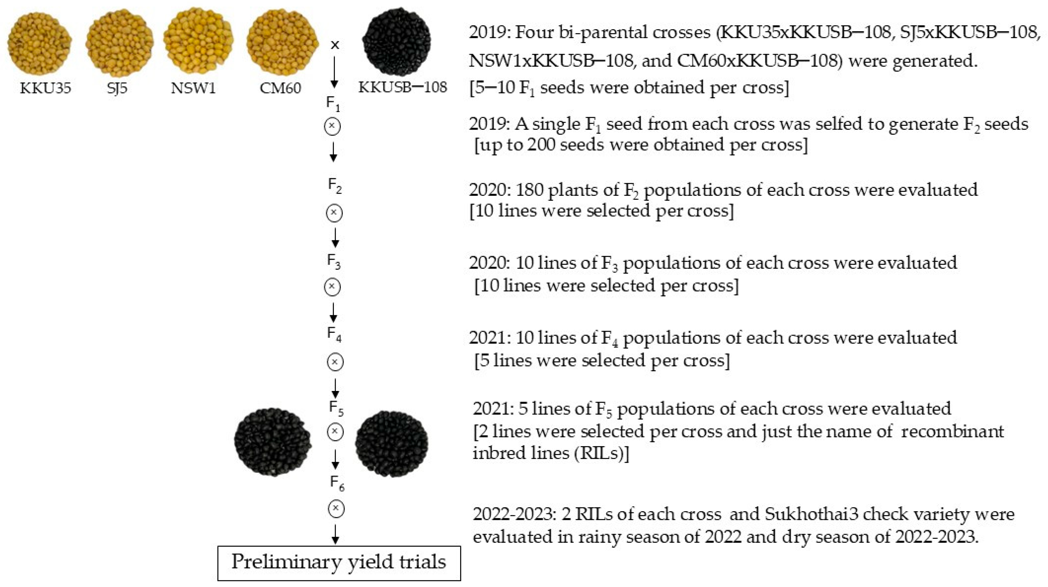 Agronomy 15 00600 g001