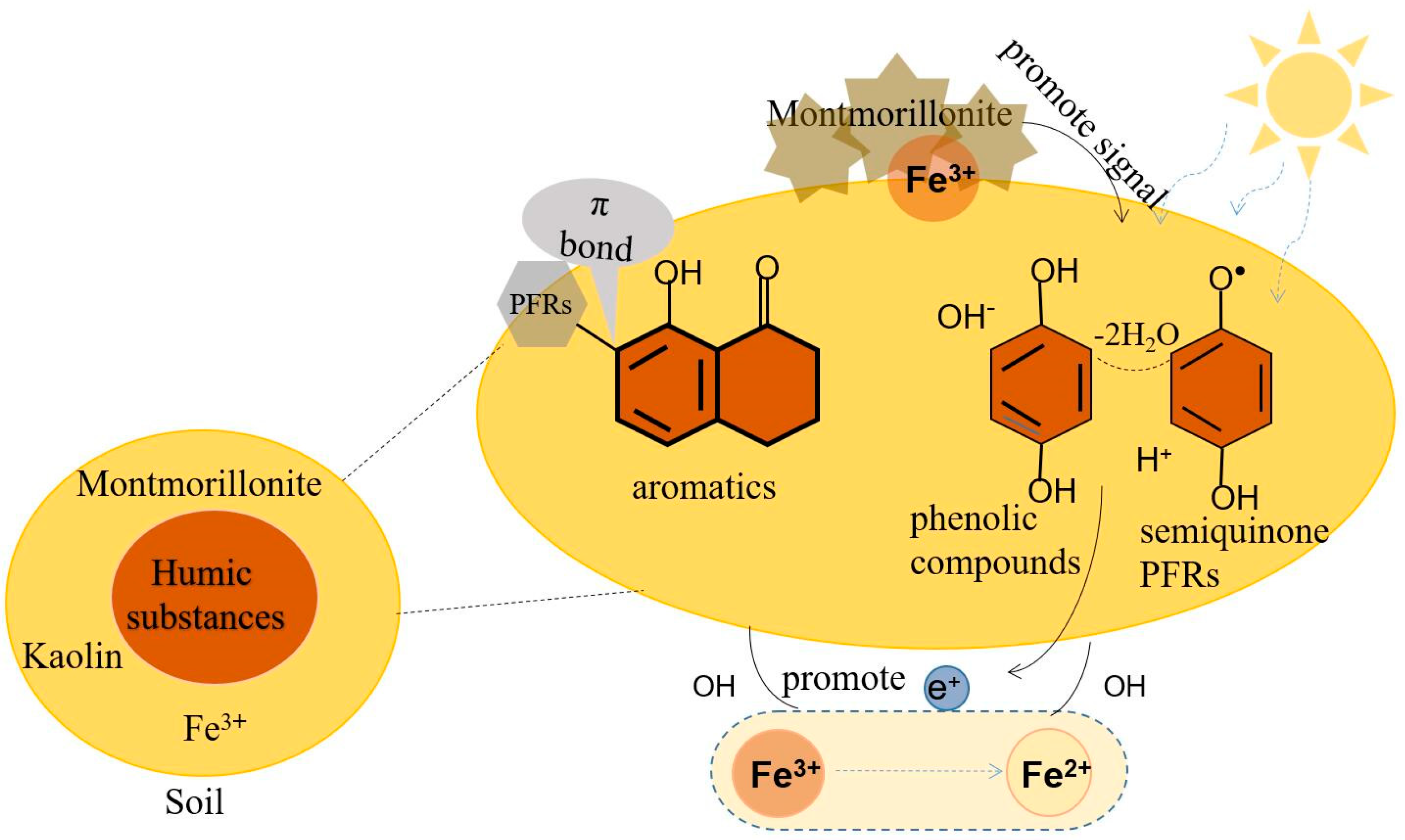 Agronomy 15 00602 g002