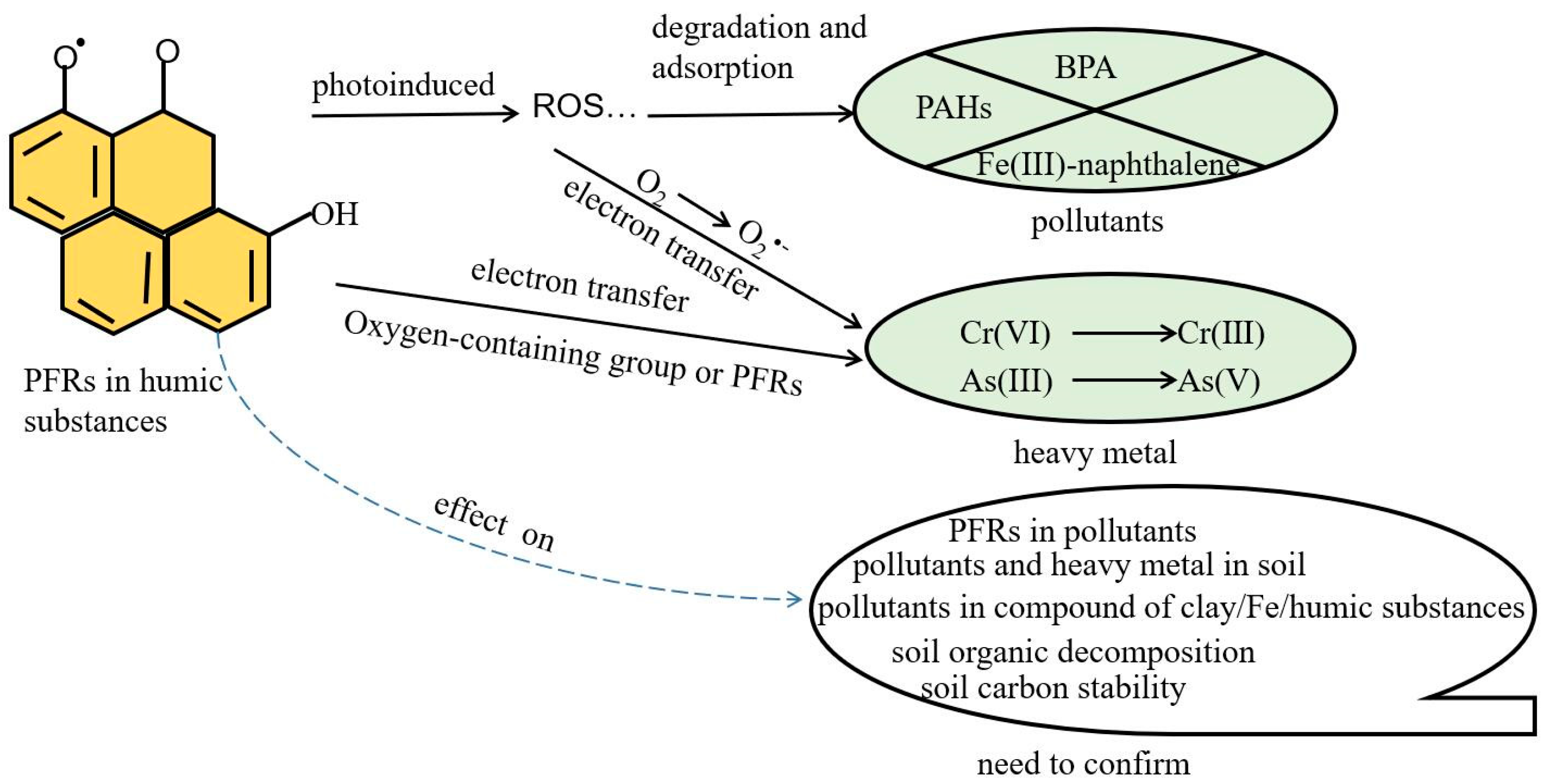 Agronomy 15 00602 g003
