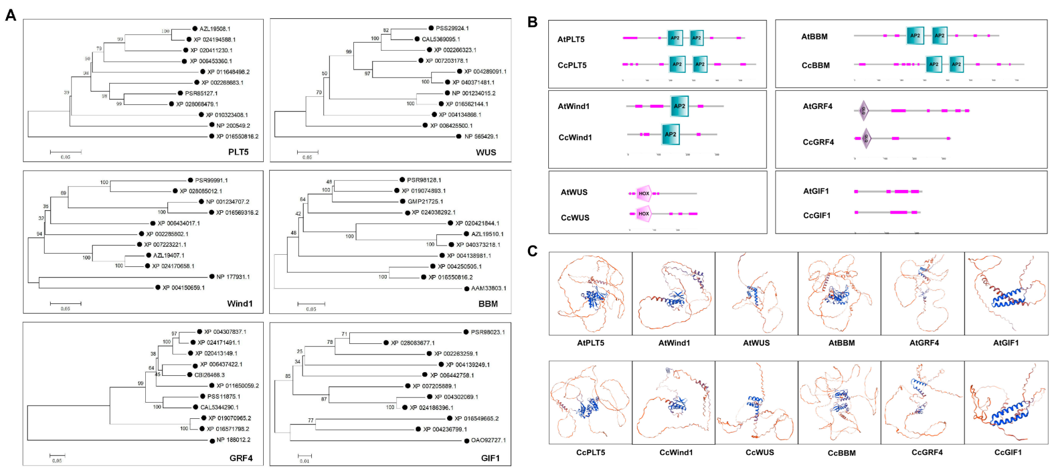 Agronomy 15 00603 g005