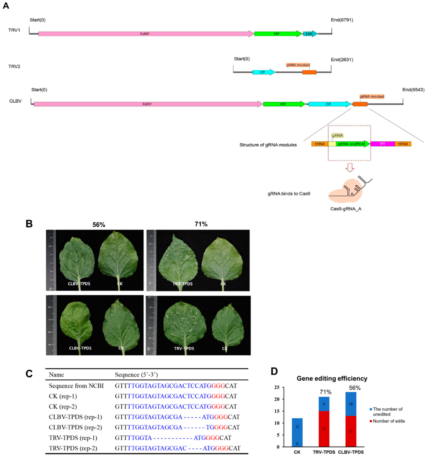 Agronomy 15 00603 g007