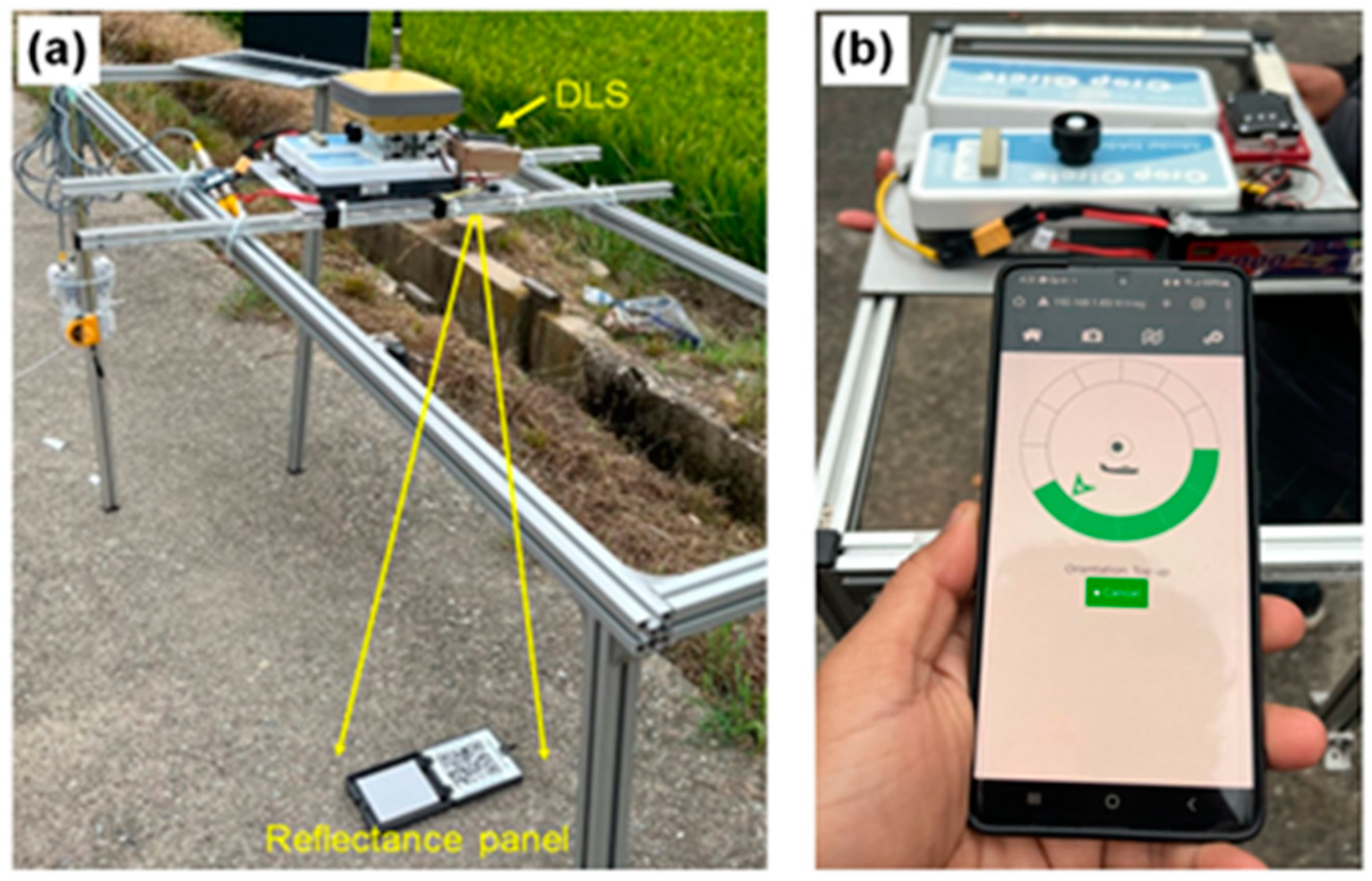 Agronomy 15 00618 g003