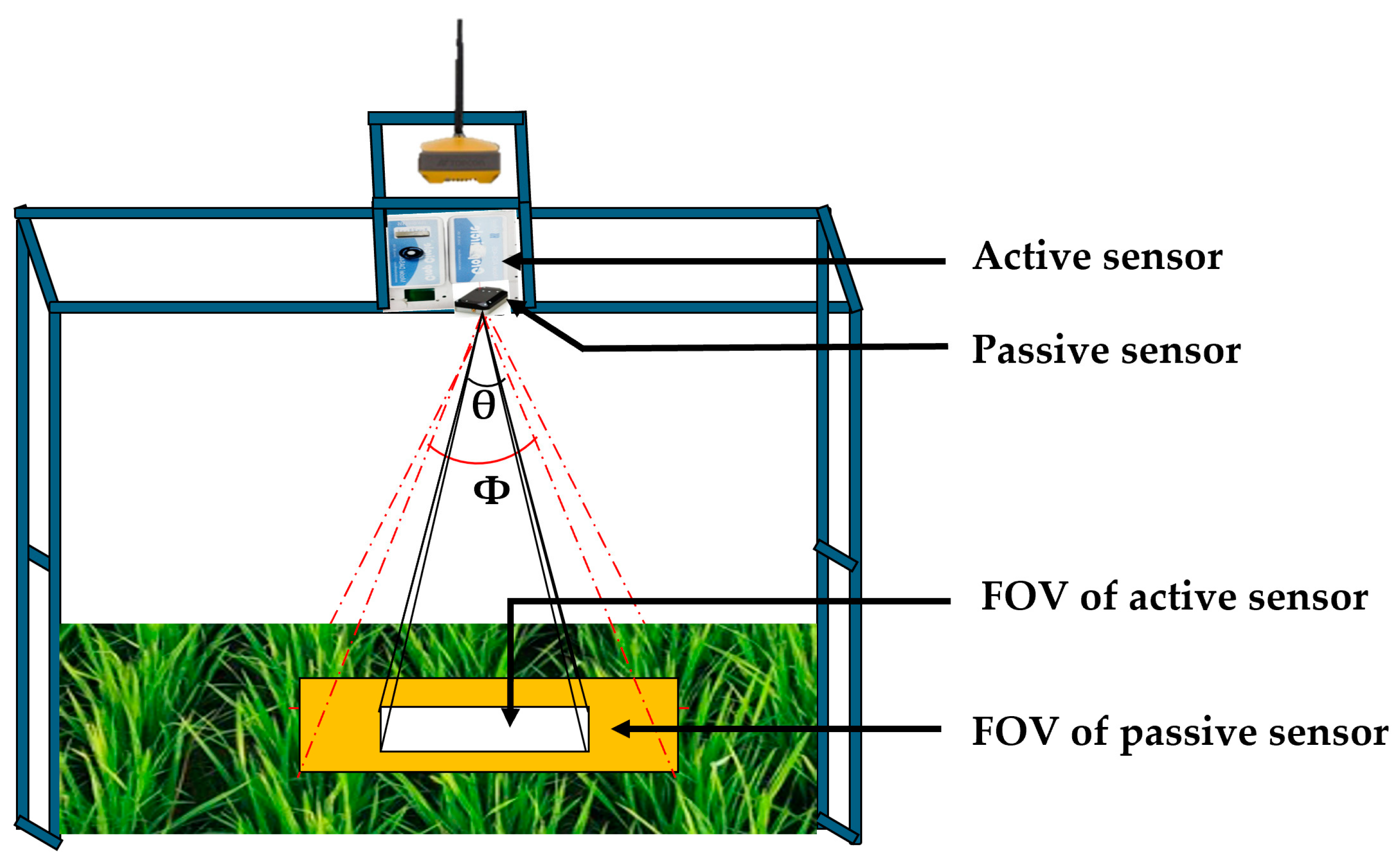 Agronomy 15 00618 g005