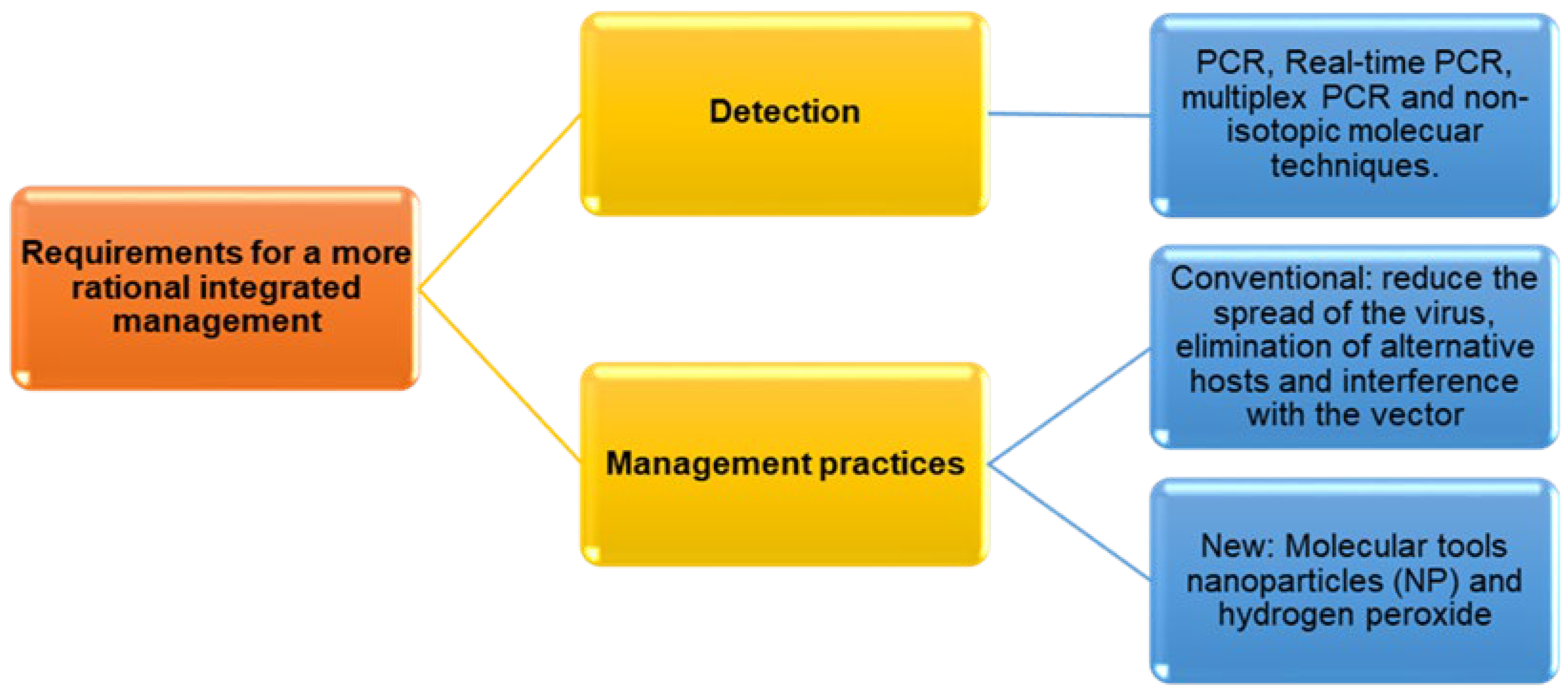 Agronomy 15 00620 g004