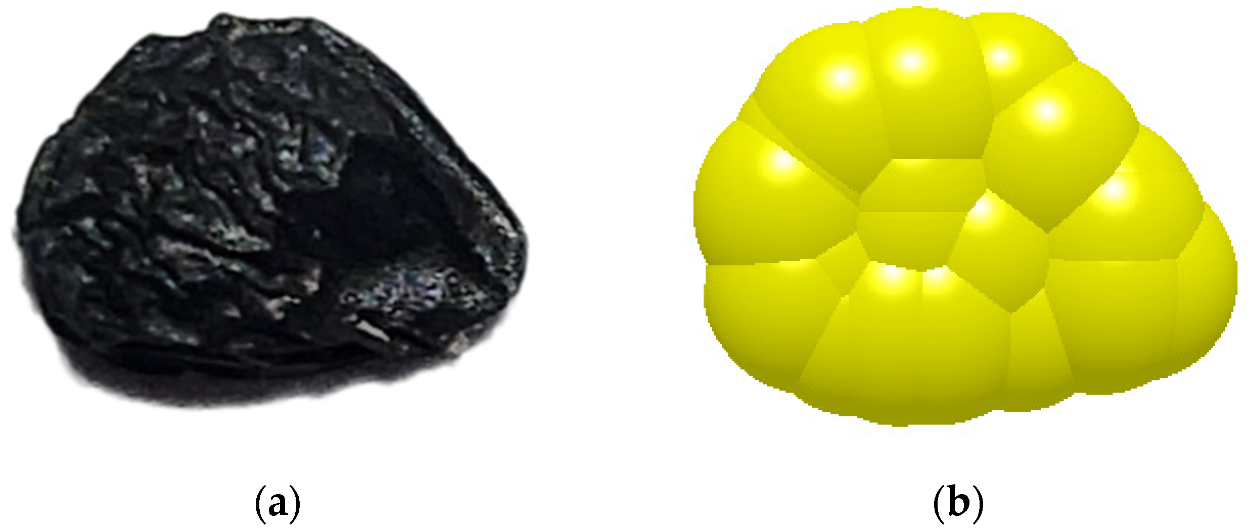 Agronomy 15 00622 g005