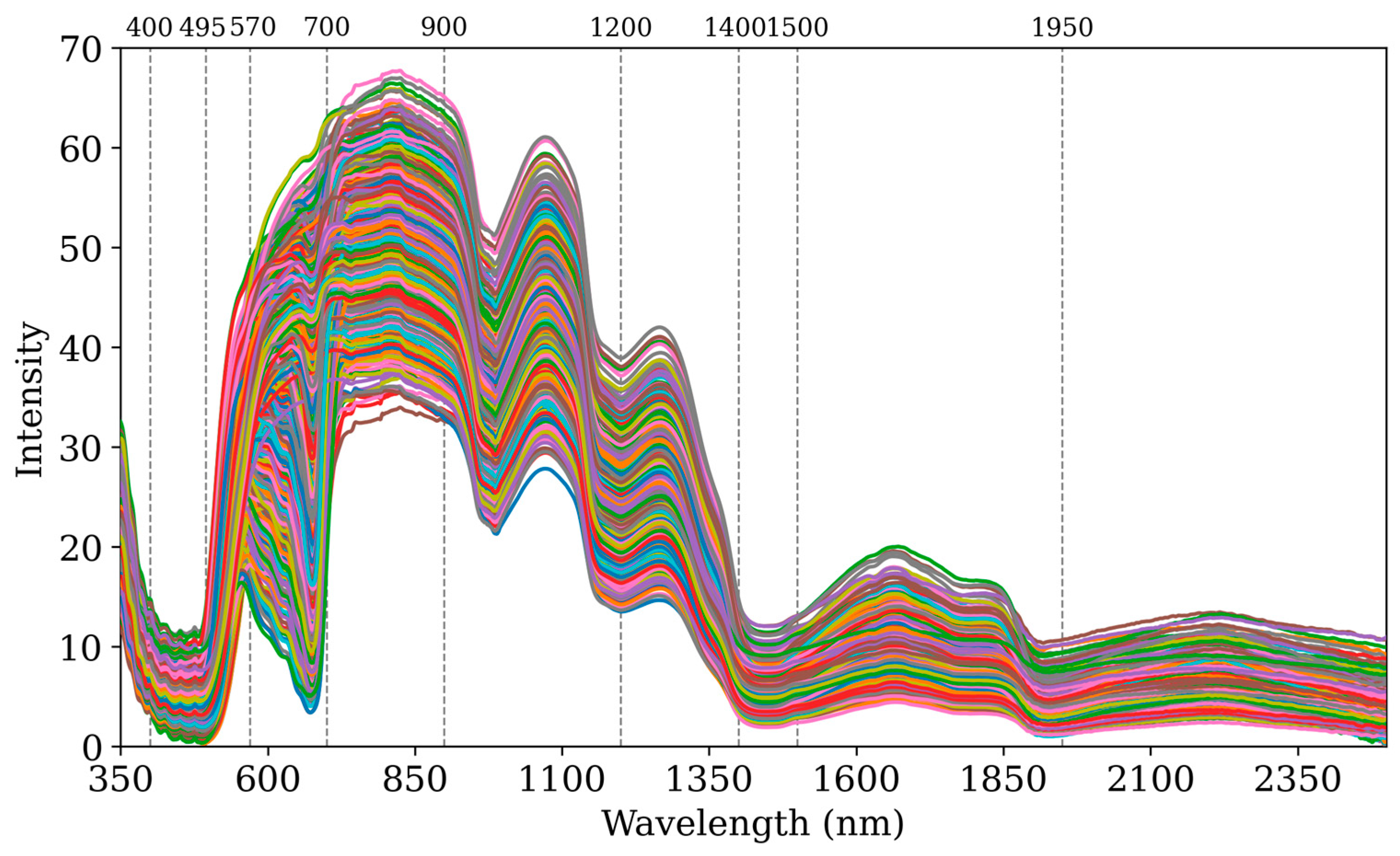 Agronomy 15 00625 g002