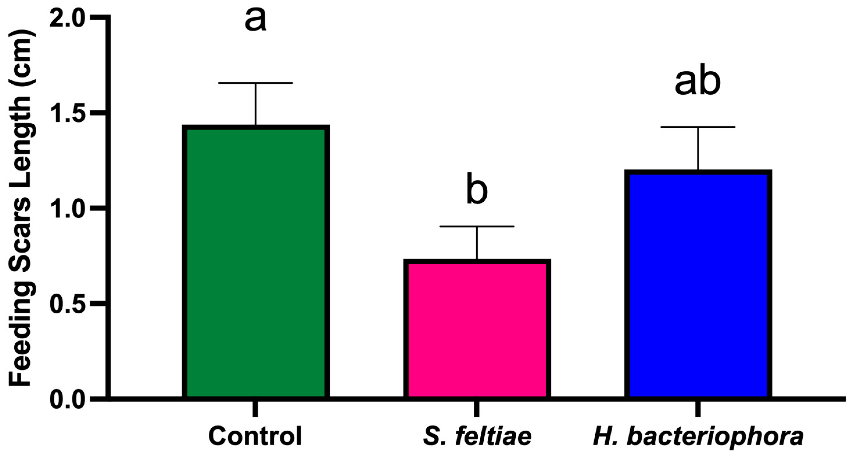 Agronomy 15 00627 g003
