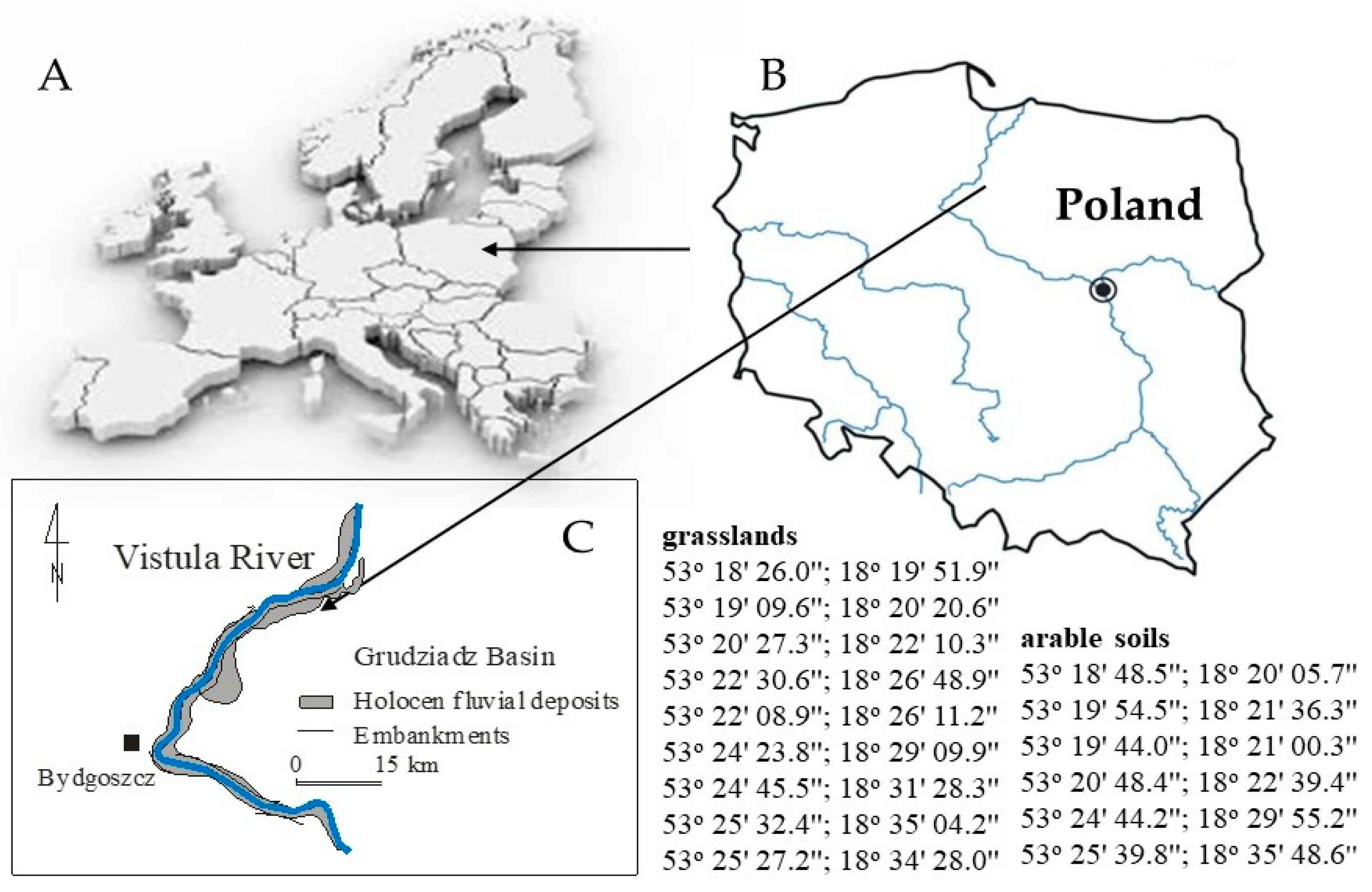Agronomy 15 00628 g001