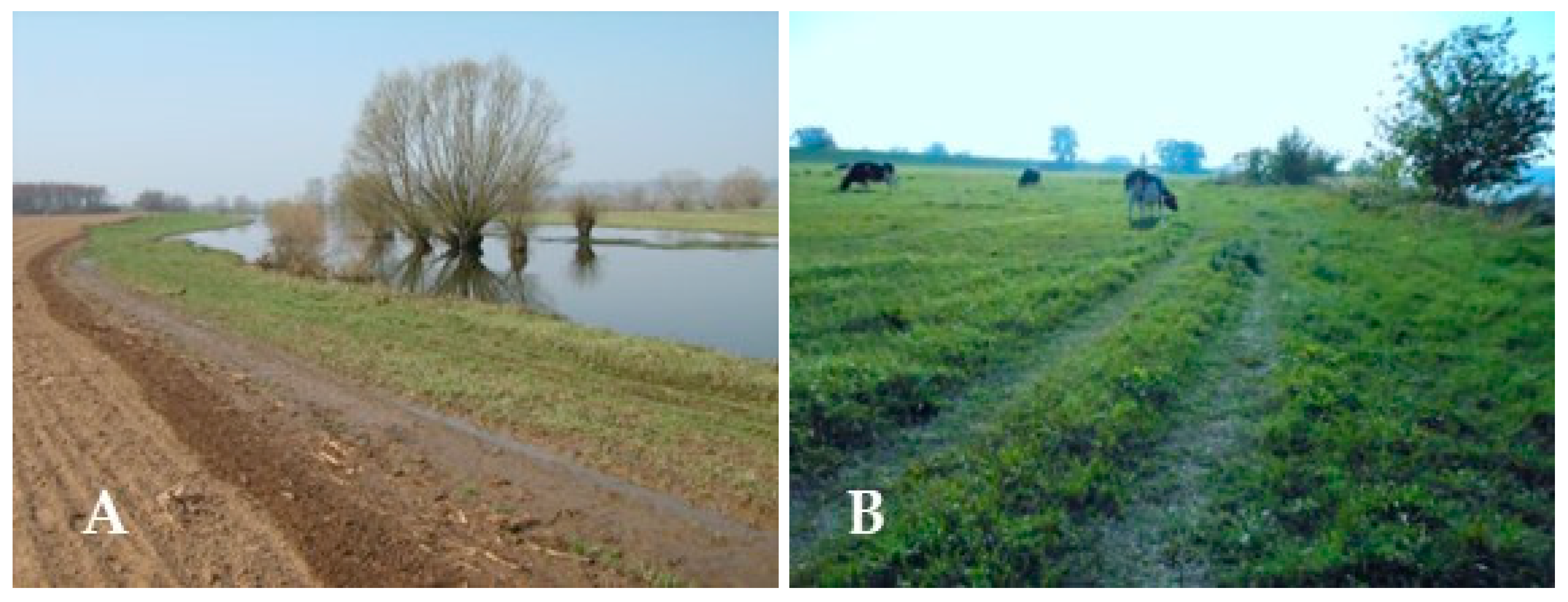 Agronomy 15 00628 g002