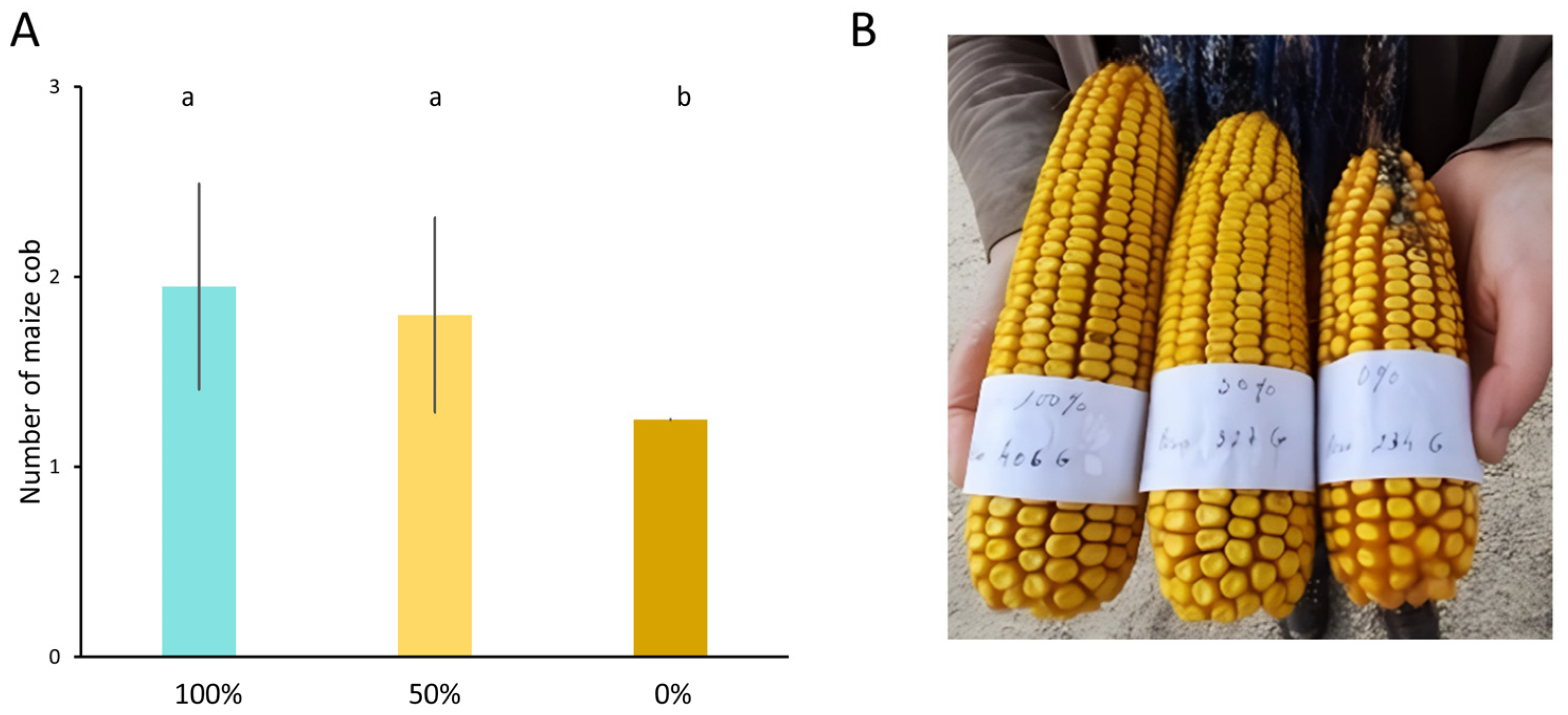Agronomy 15 00629 g002