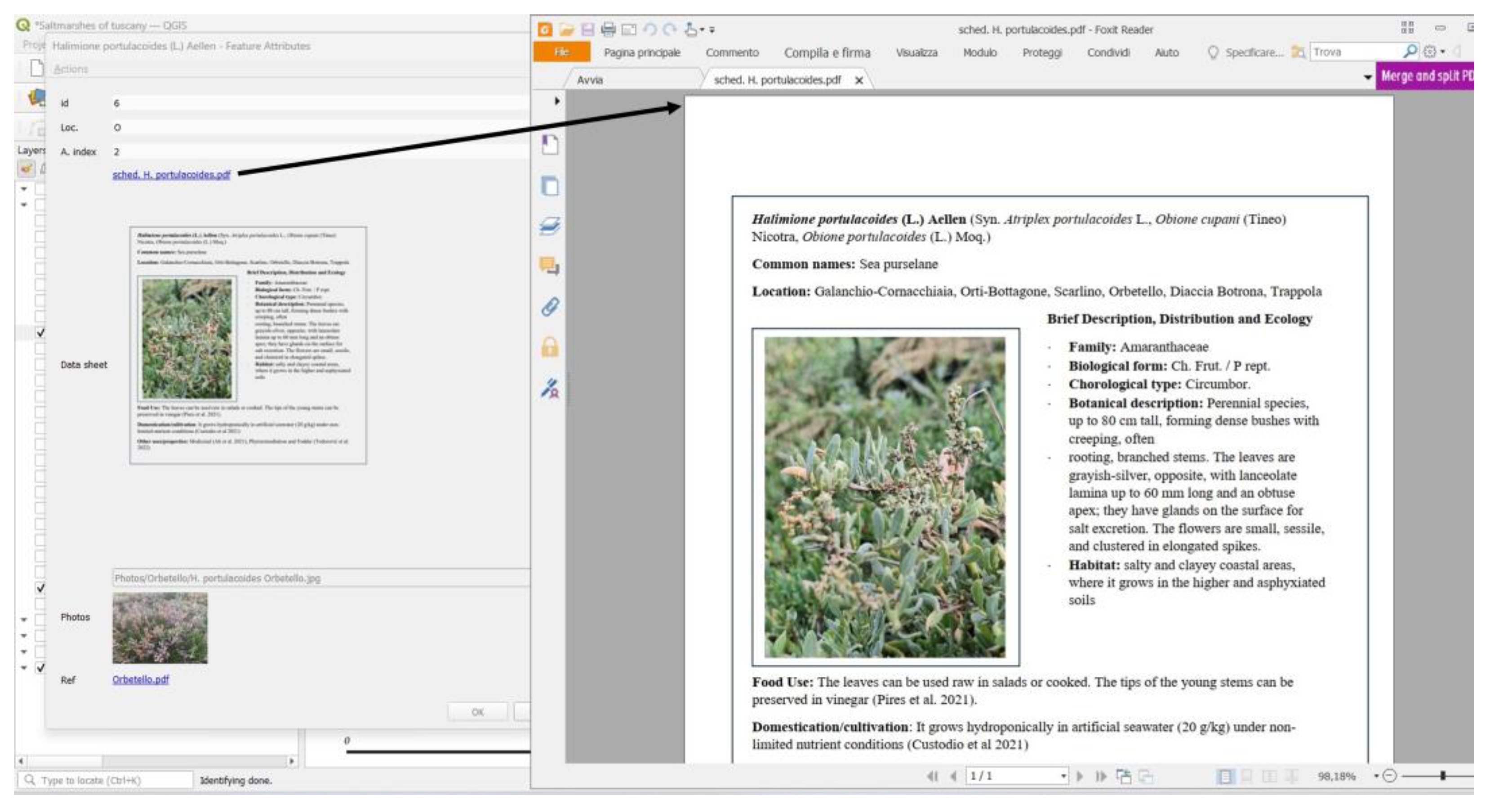 Agronomy 15 00634 g009