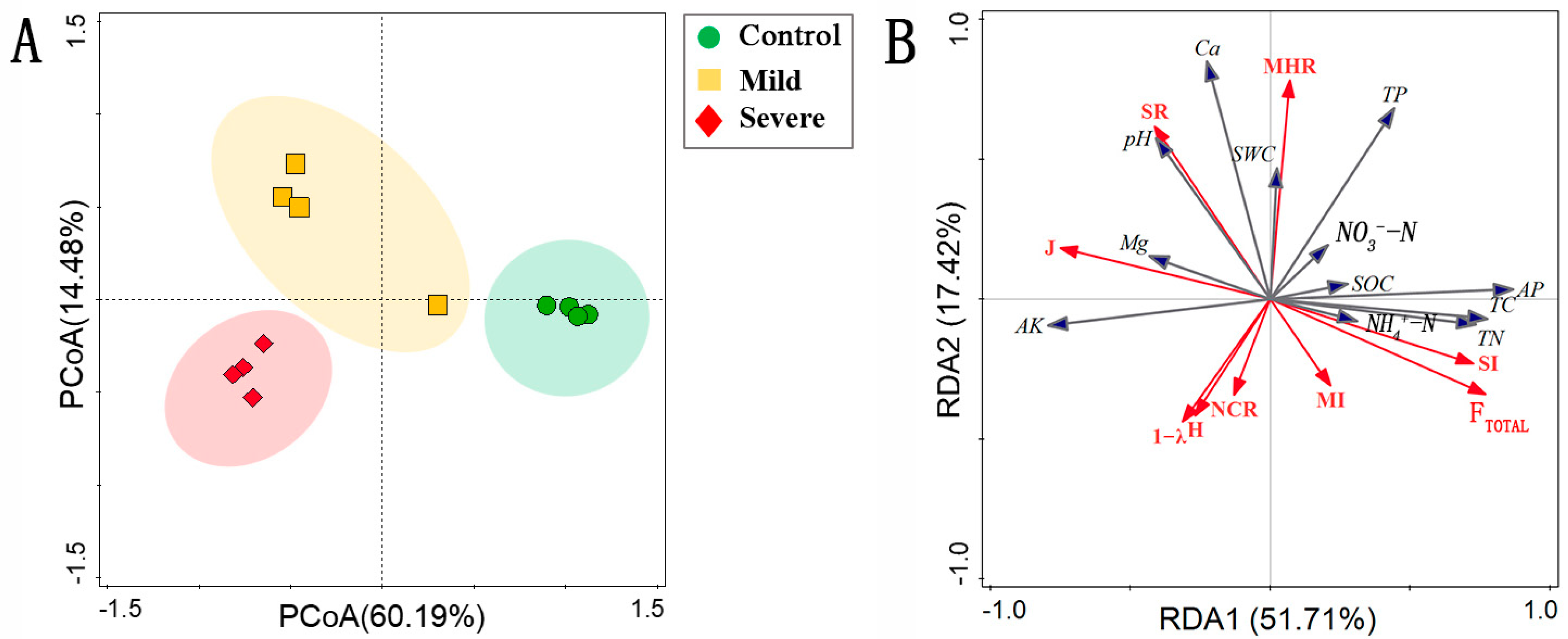 Agronomy 15 00635 g001