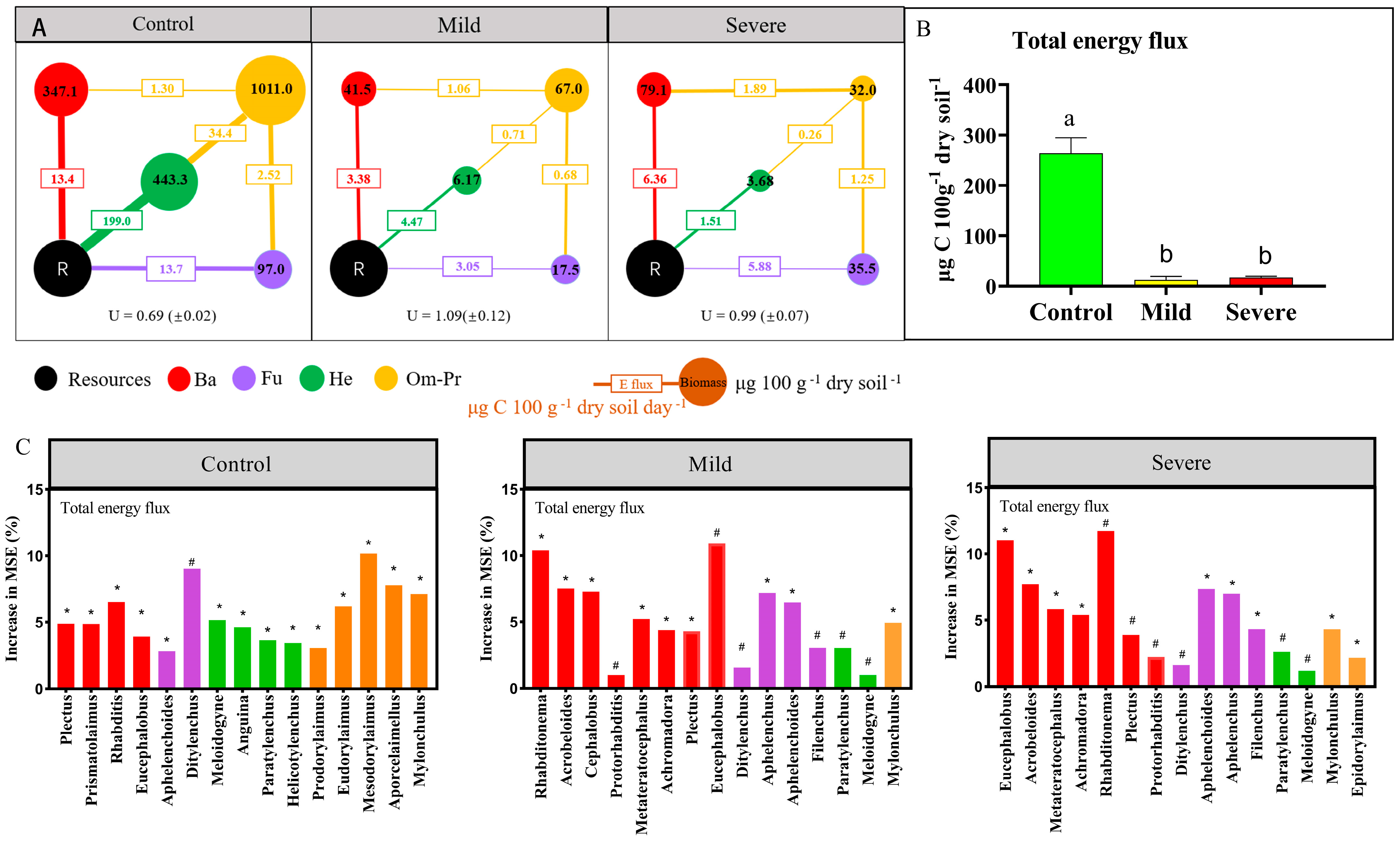 Agronomy 15 00635 g004