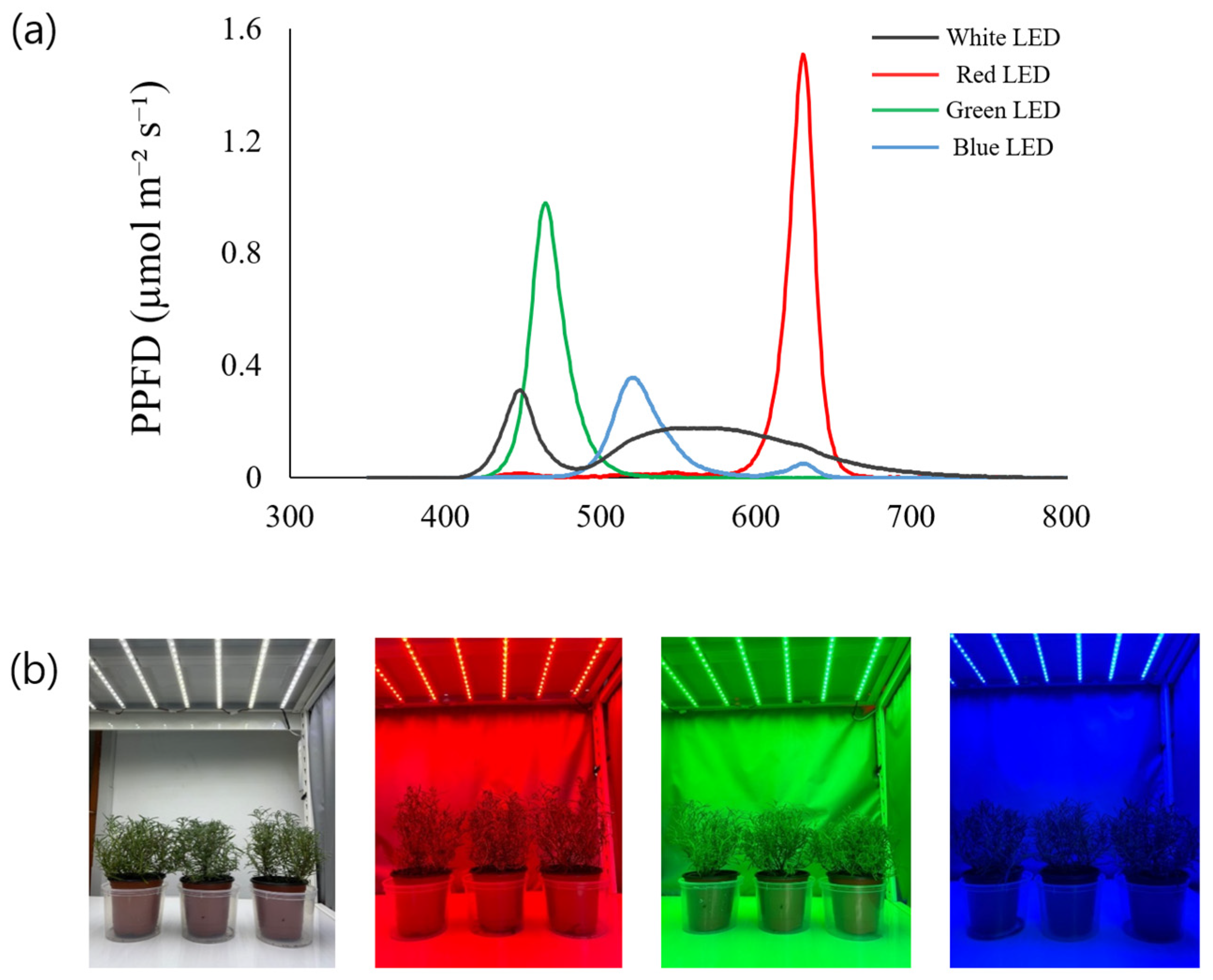 Agronomy 15 00636 g001