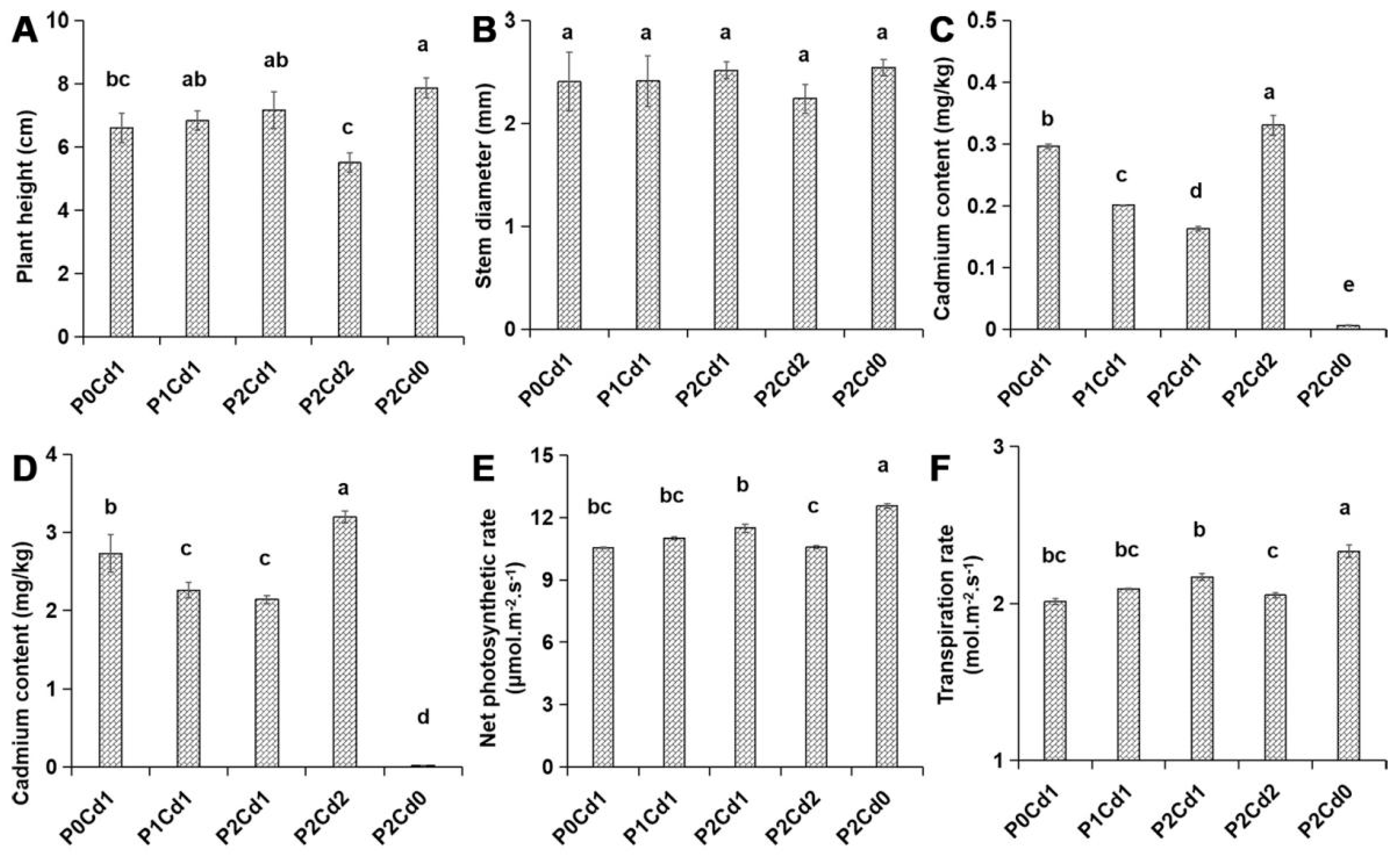 Agronomy 15 00637 g001