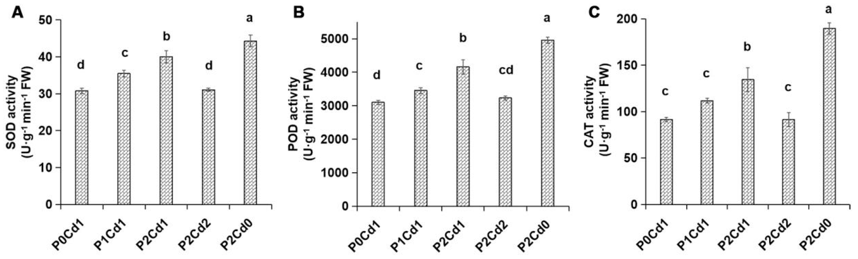 Agronomy 15 00637 g002