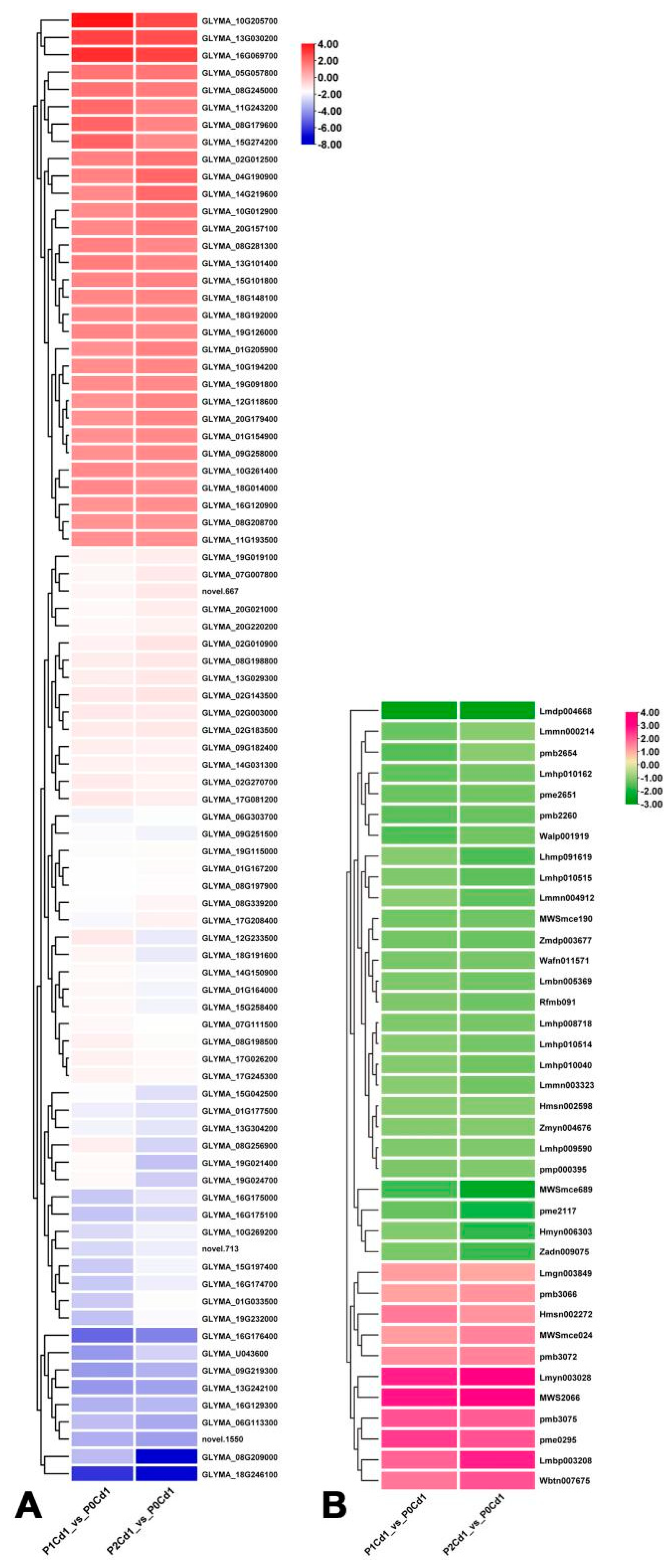 Agronomy 15 00637 g005