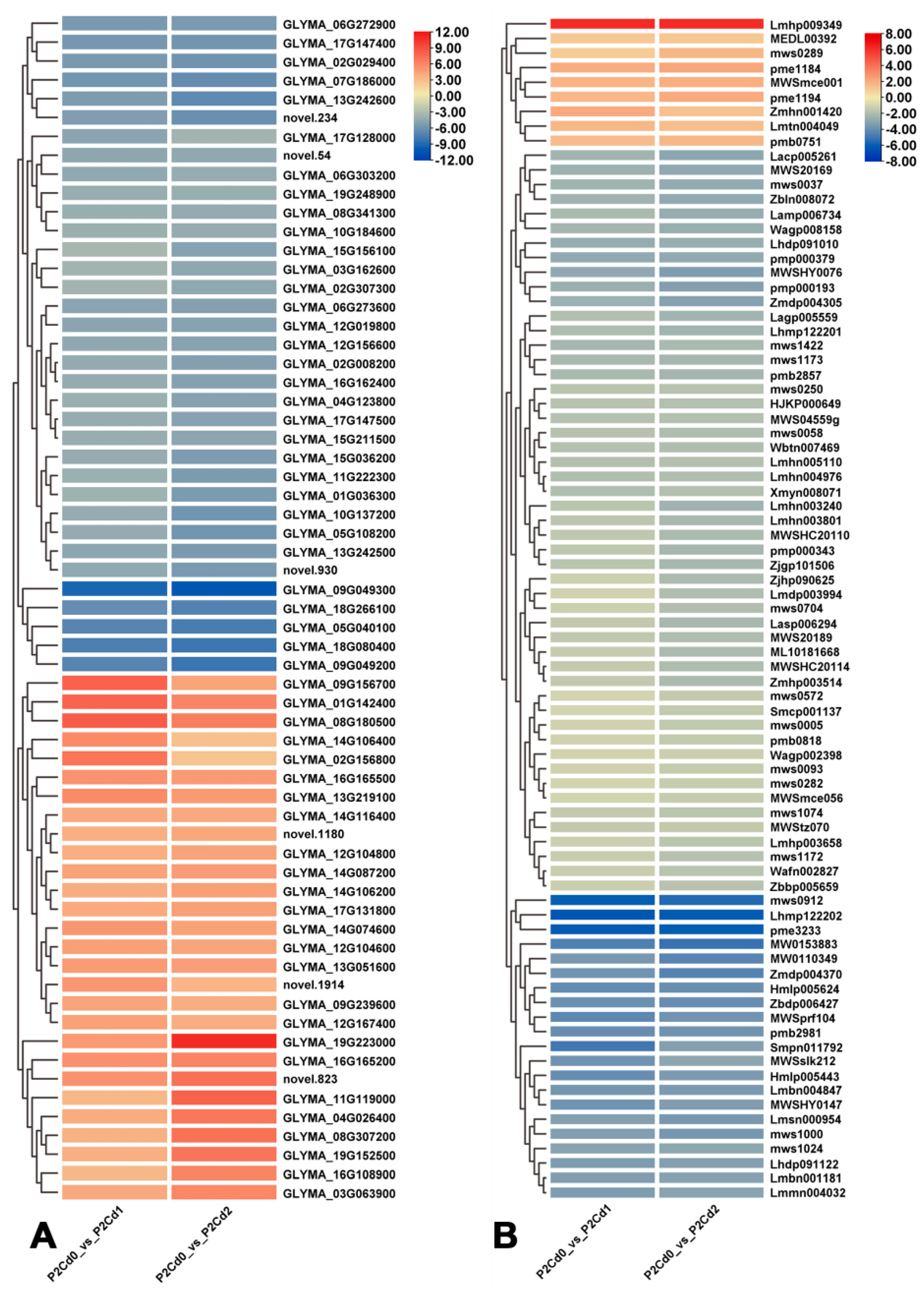 Agronomy 15 00637 g007