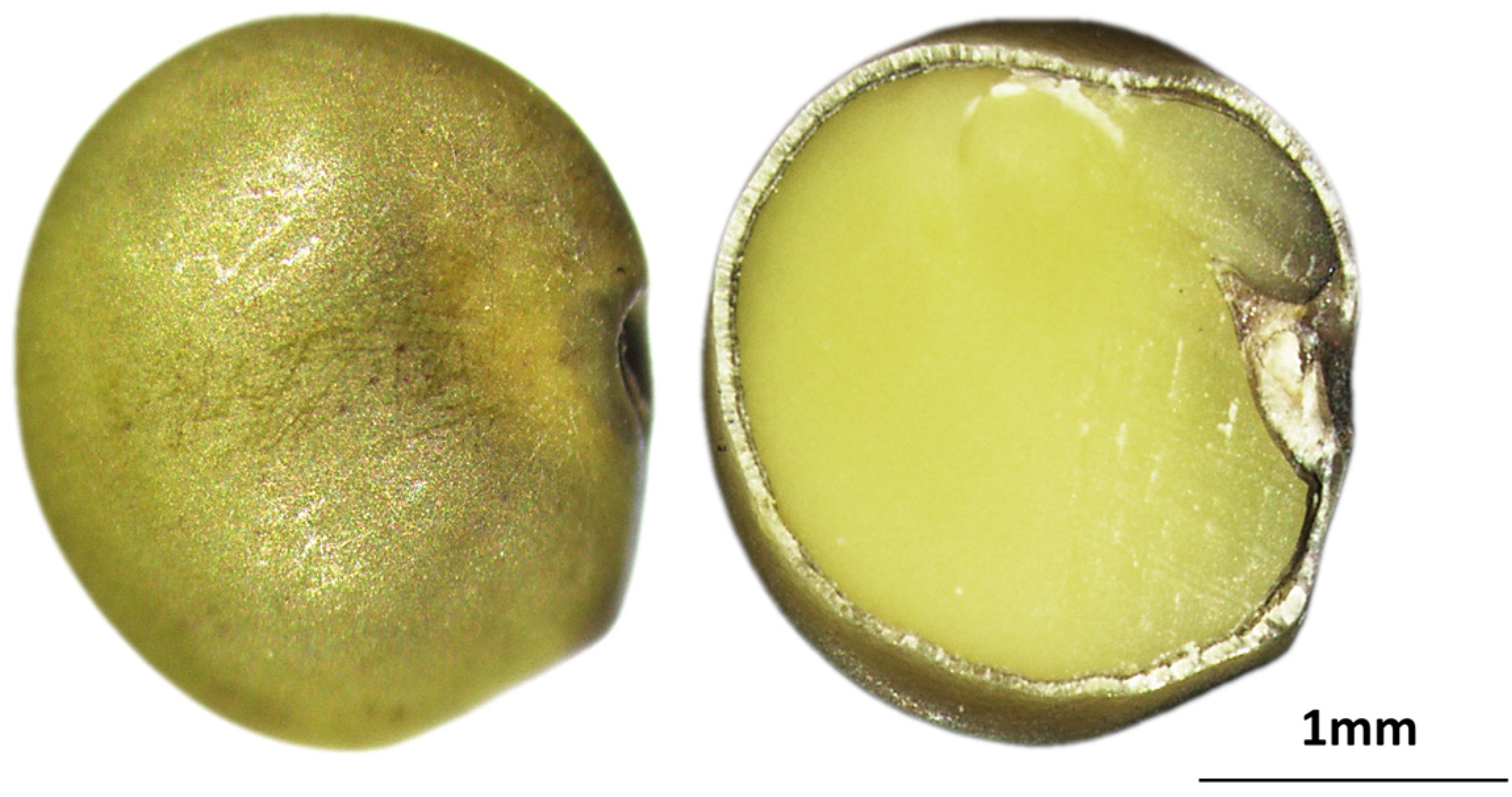 Agronomy 15 00644 g006