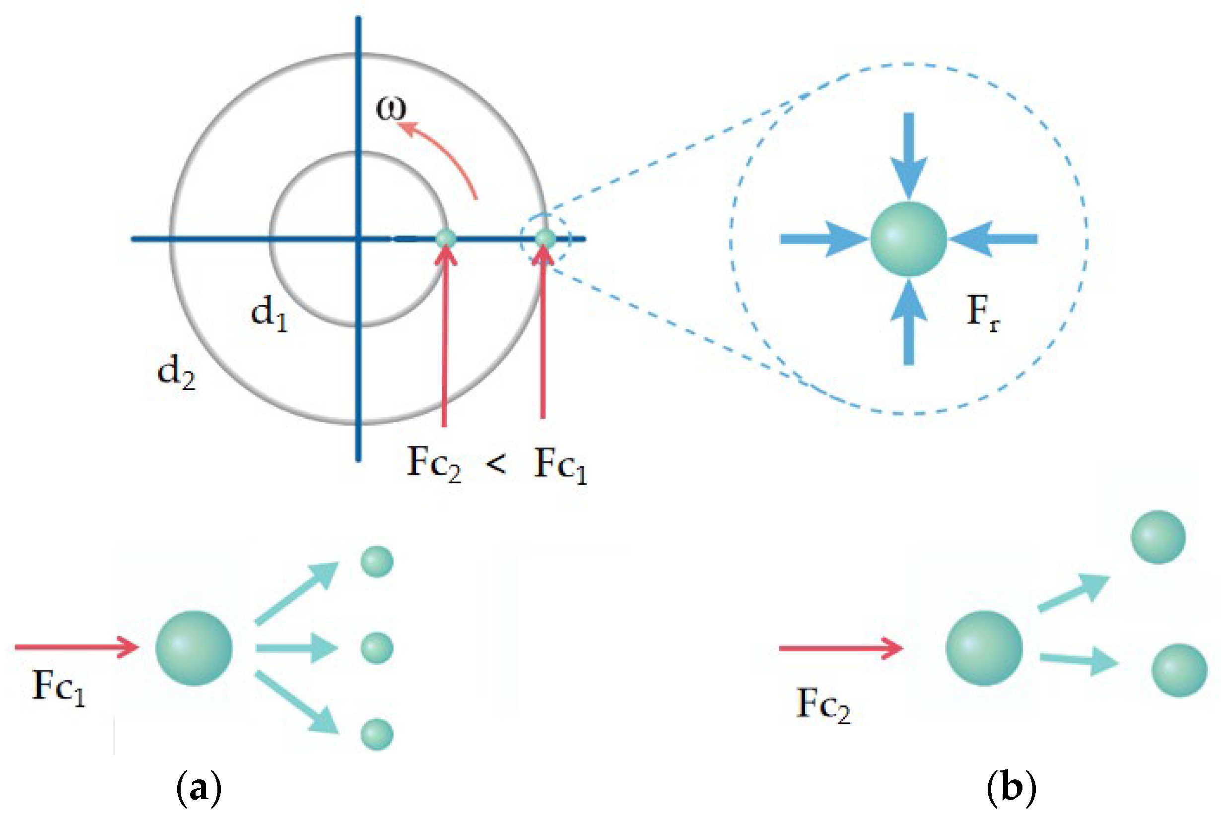 Agronomy 15 00647 g006