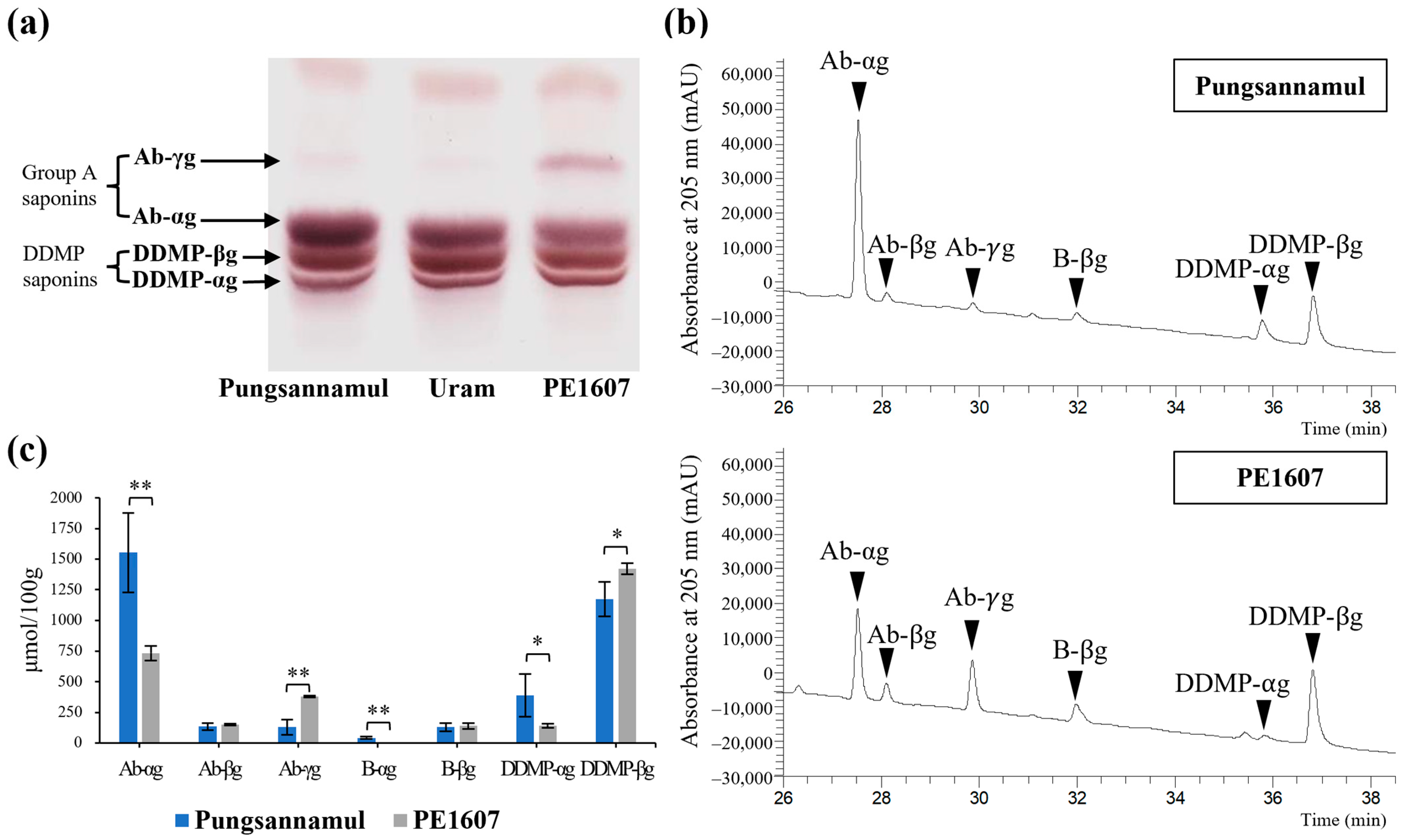 Agronomy 15 00648 g001