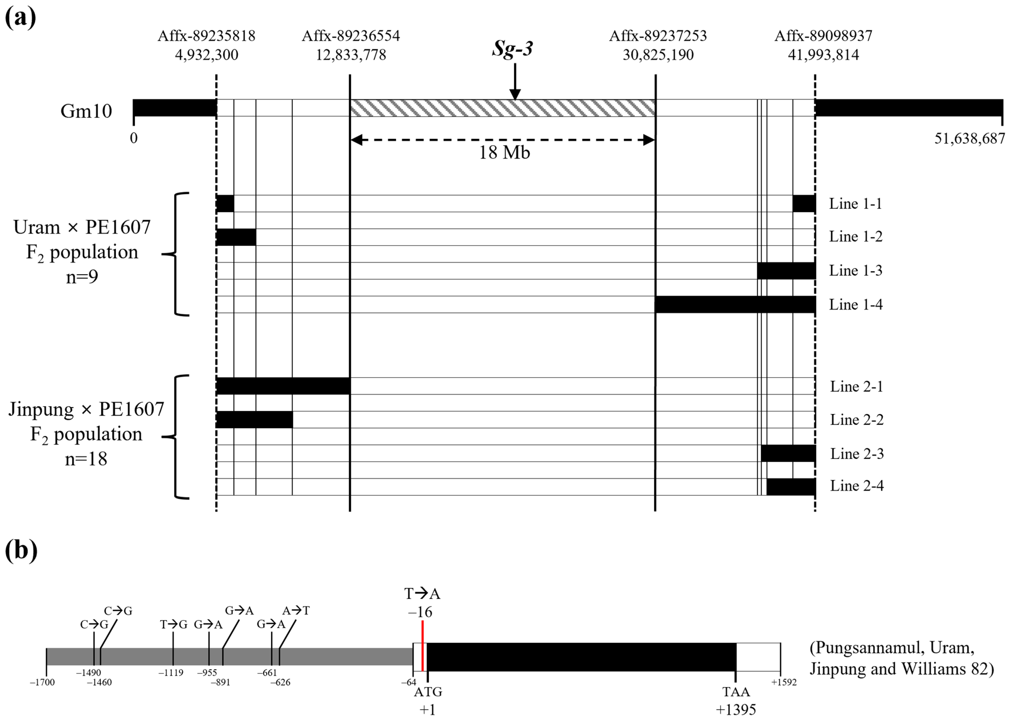 Agronomy 15 00648 g002