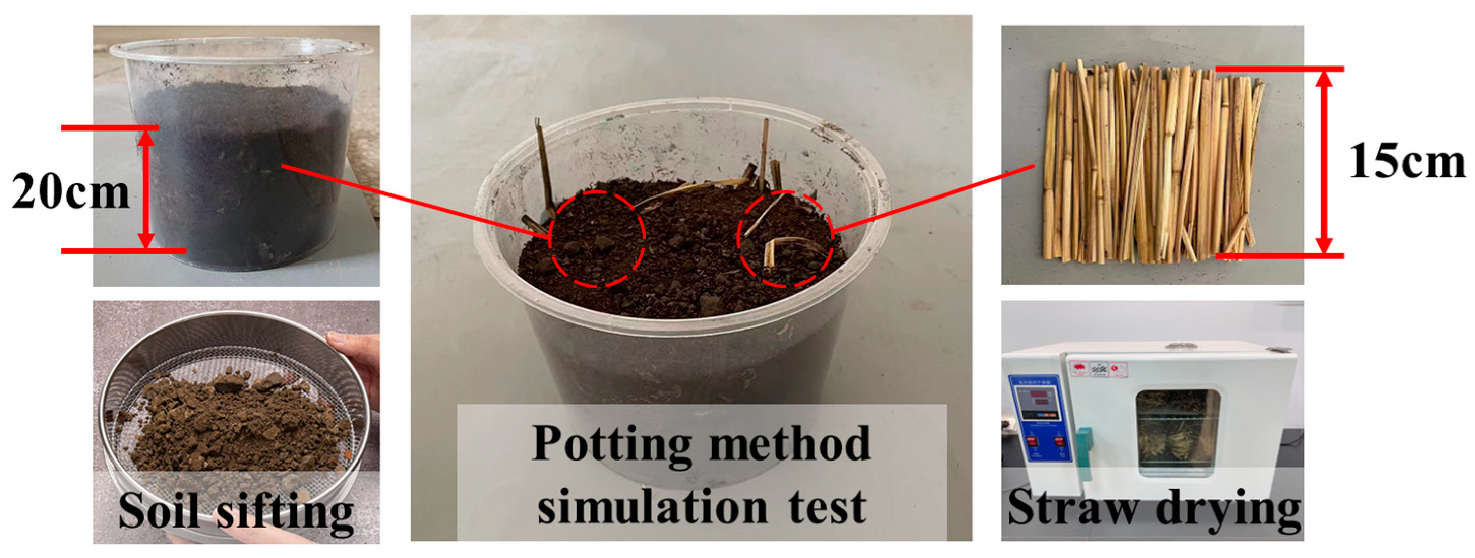 Agronomy 15 00651 g004