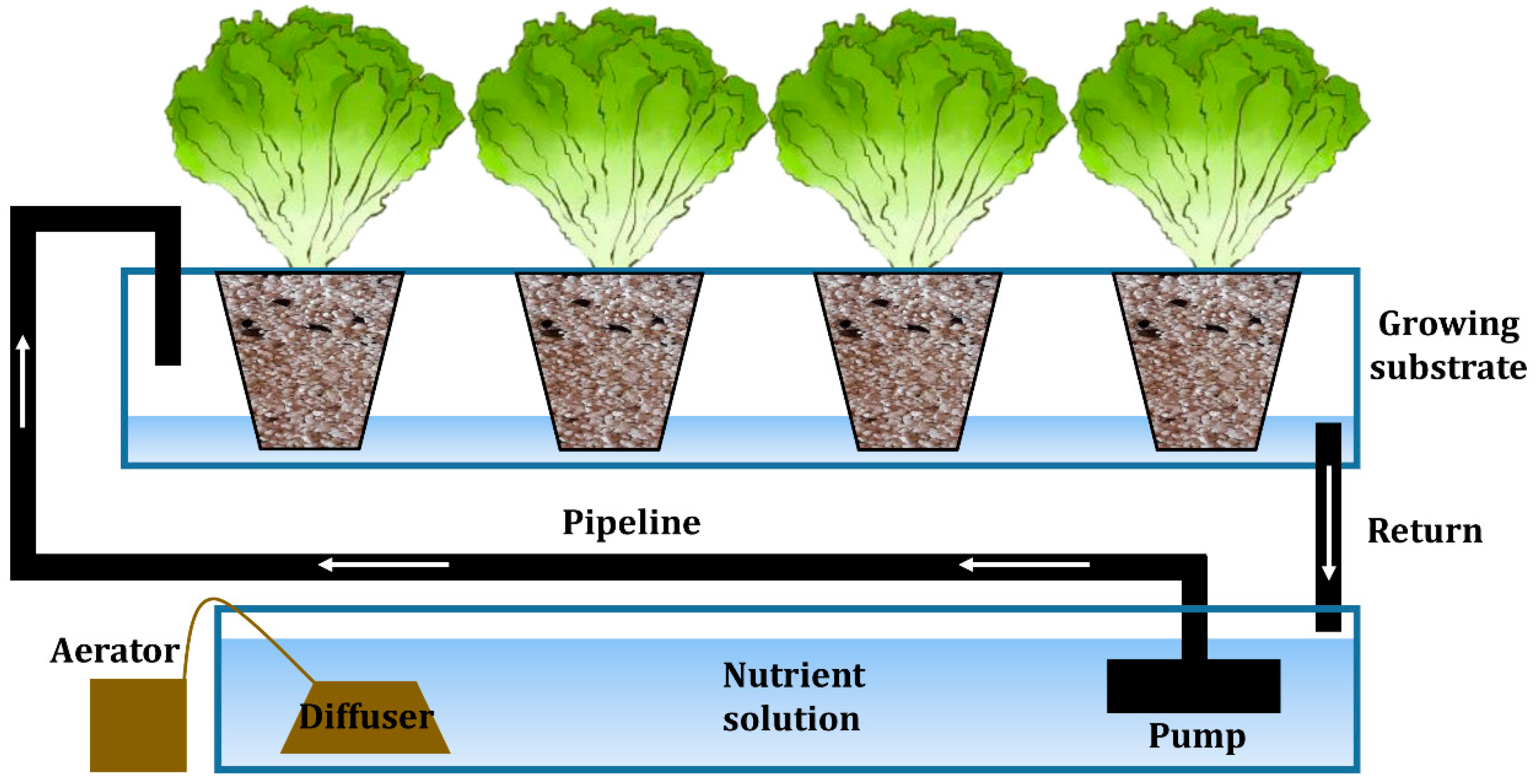 Agronomy 15 00658 g001
