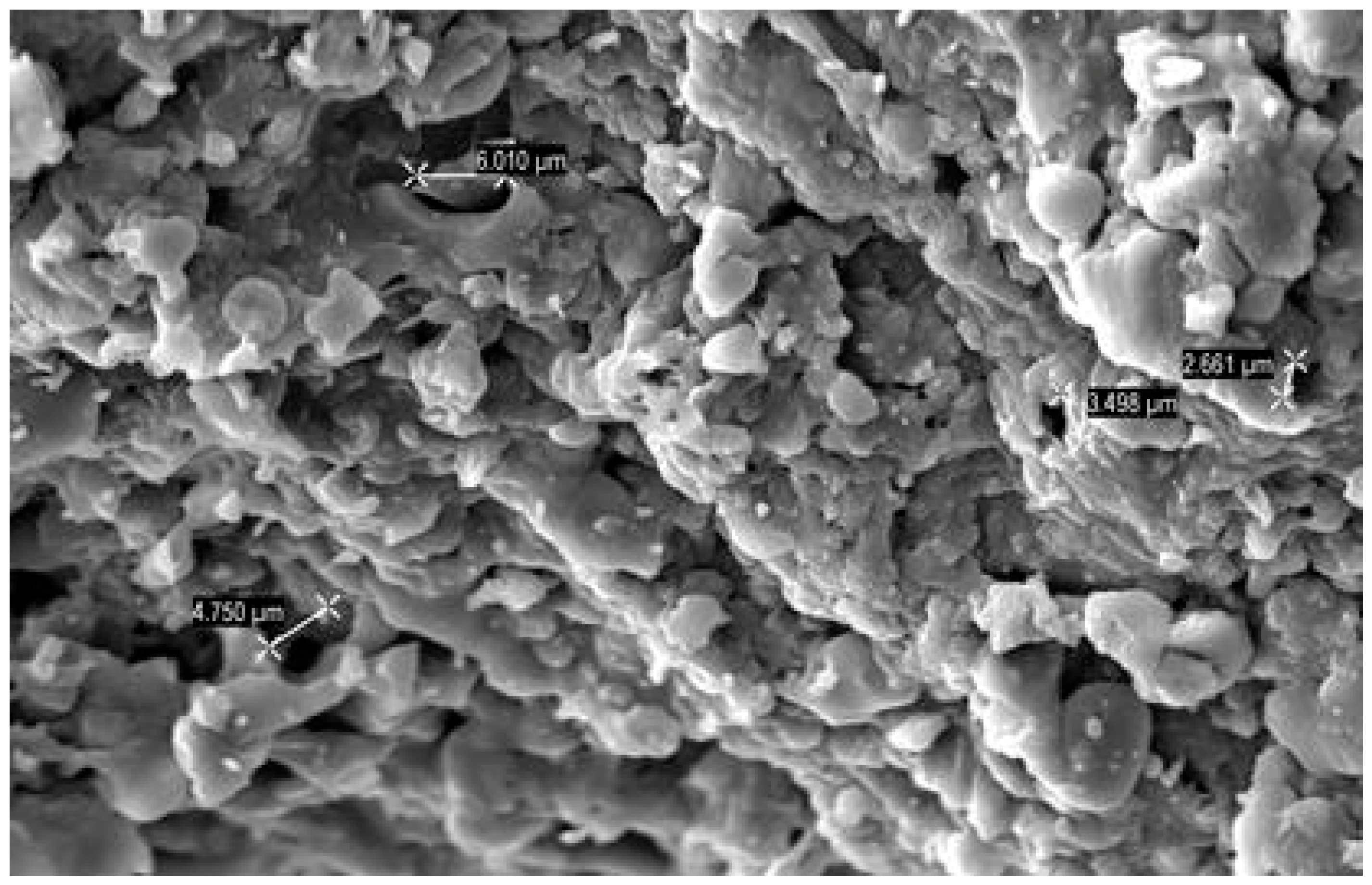 Agronomy 15 00658 g004