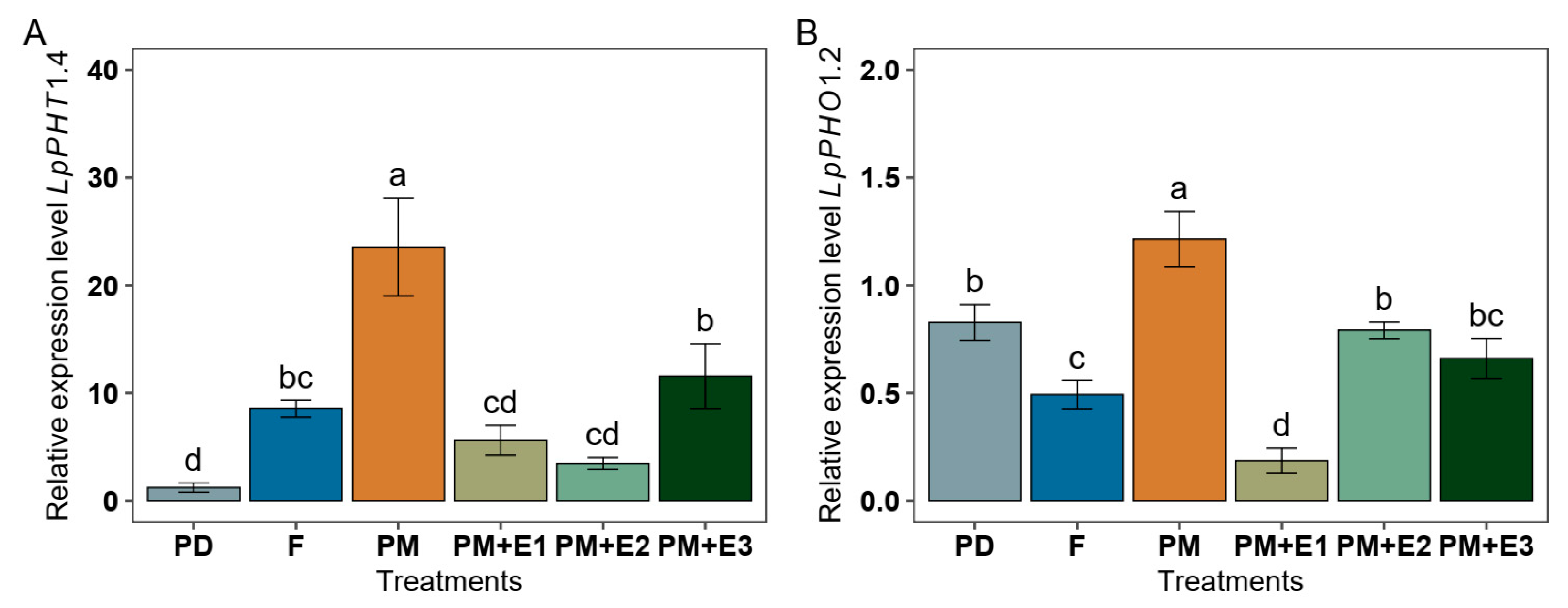 Agronomy 15 00660 g006