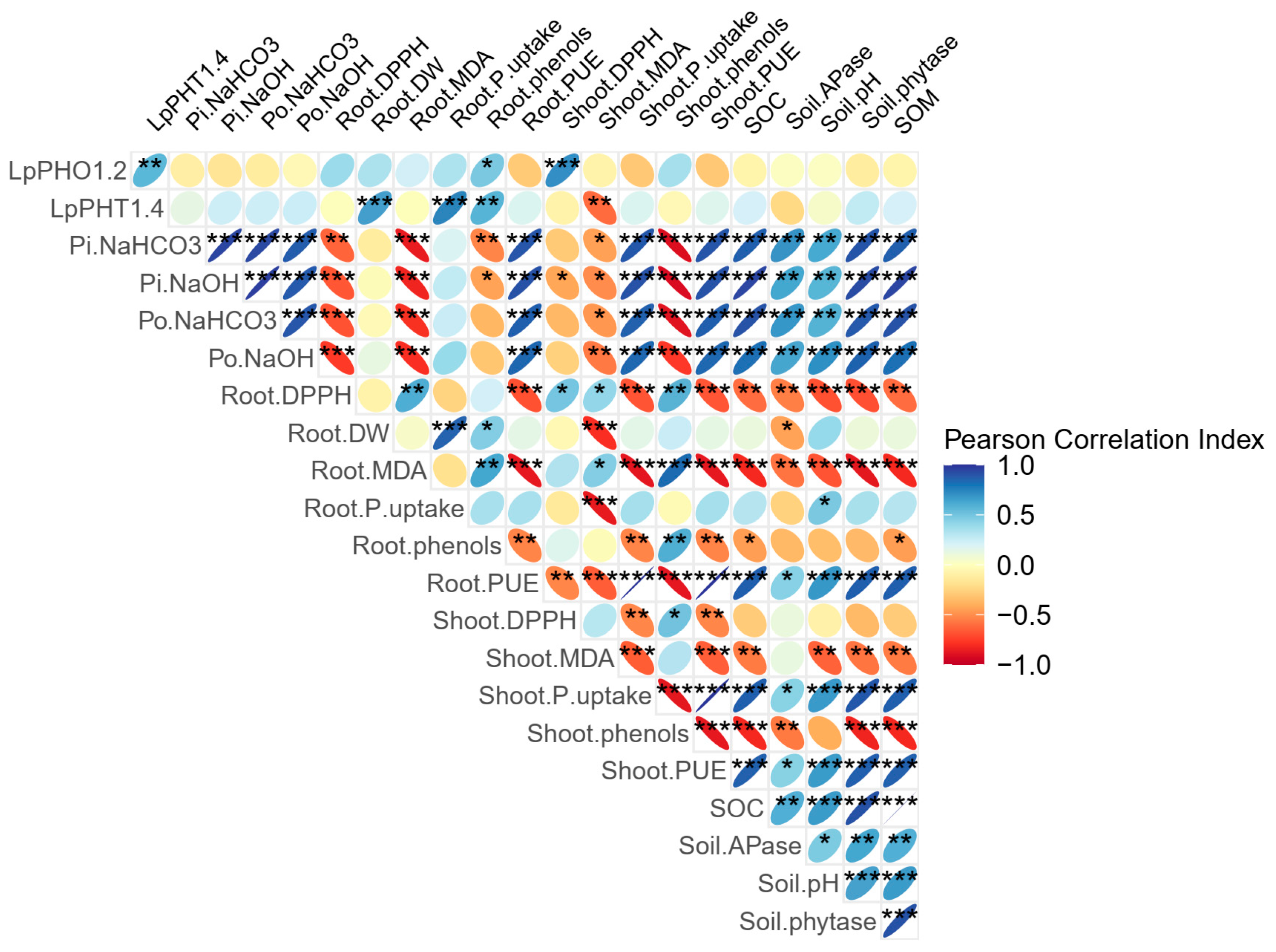 Agronomy 15 00660 g008