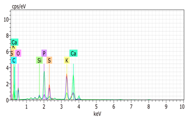 Agronomy 15 00660 i002
