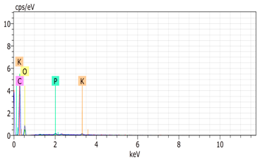 Agronomy 15 00660 i005