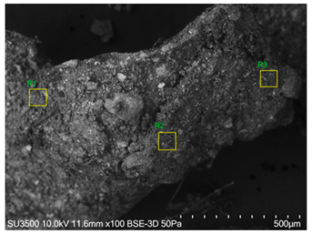 Agronomy 15 00660 i013
