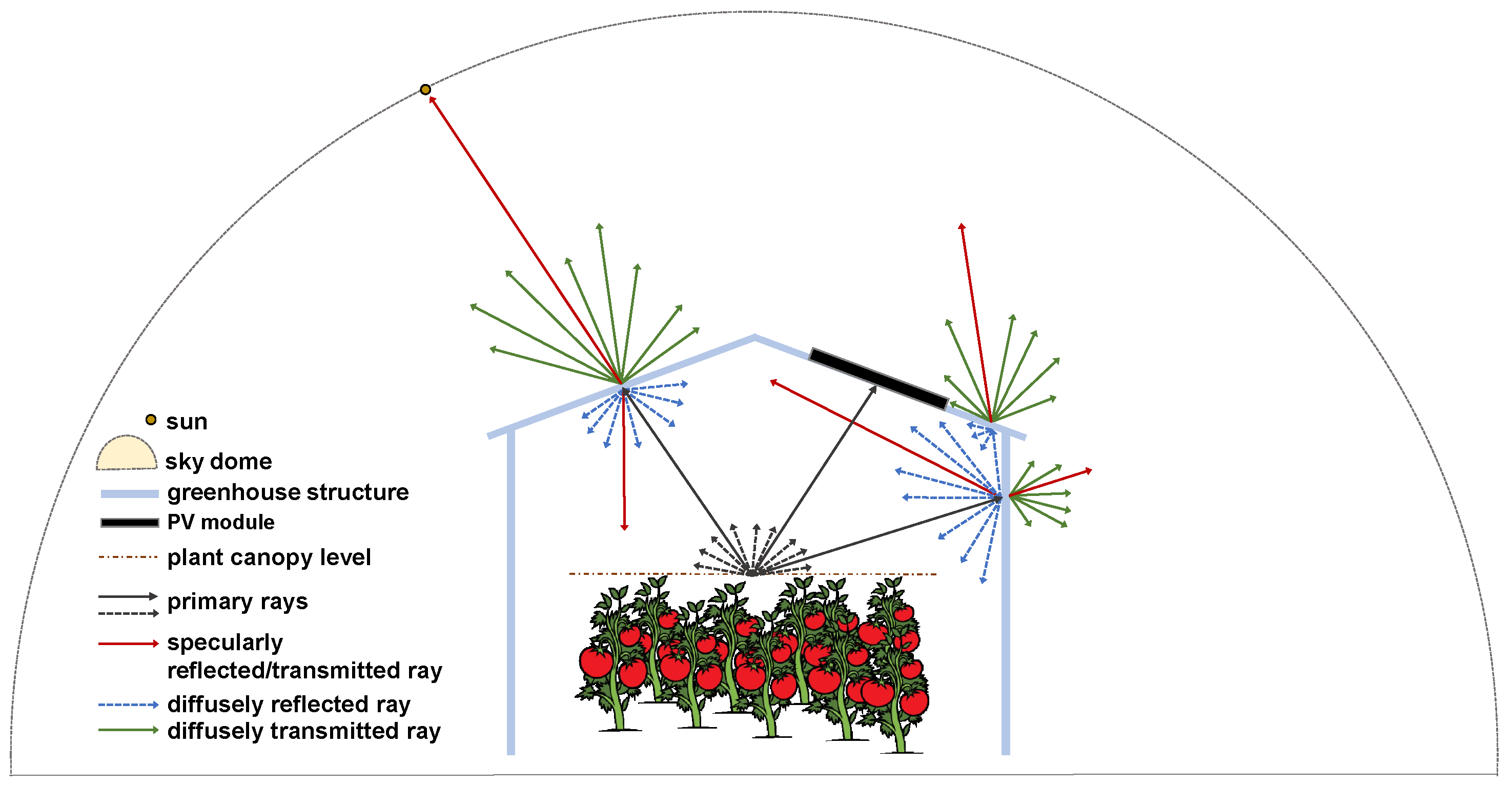 Agronomy 15 00665 g003